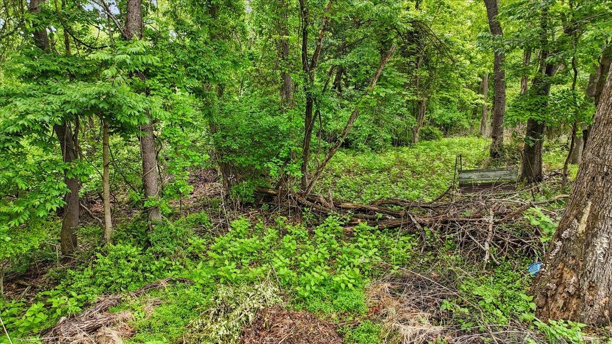 611 Landsdowne Drive Blacksburg VA 24060