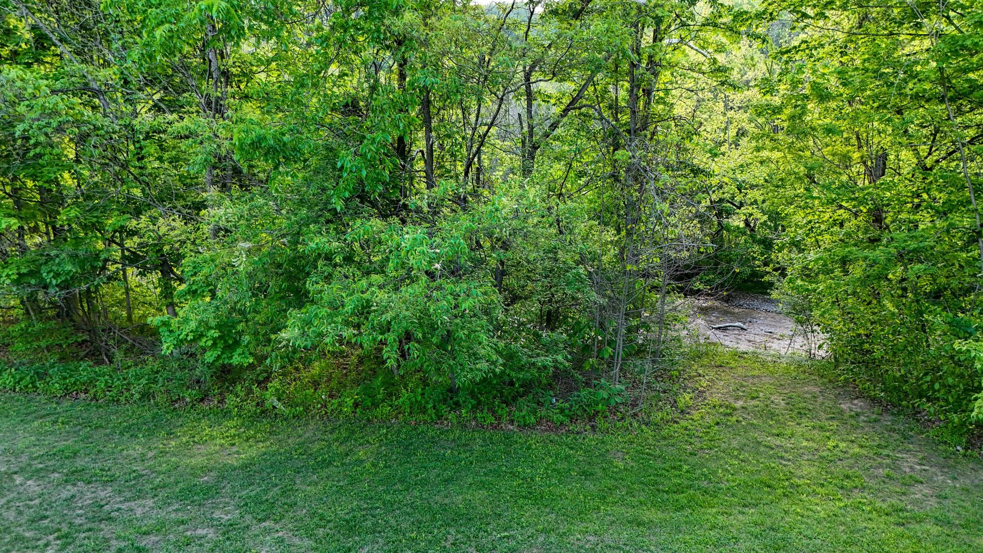 8796 Roanoke Road Elliston VA 24087