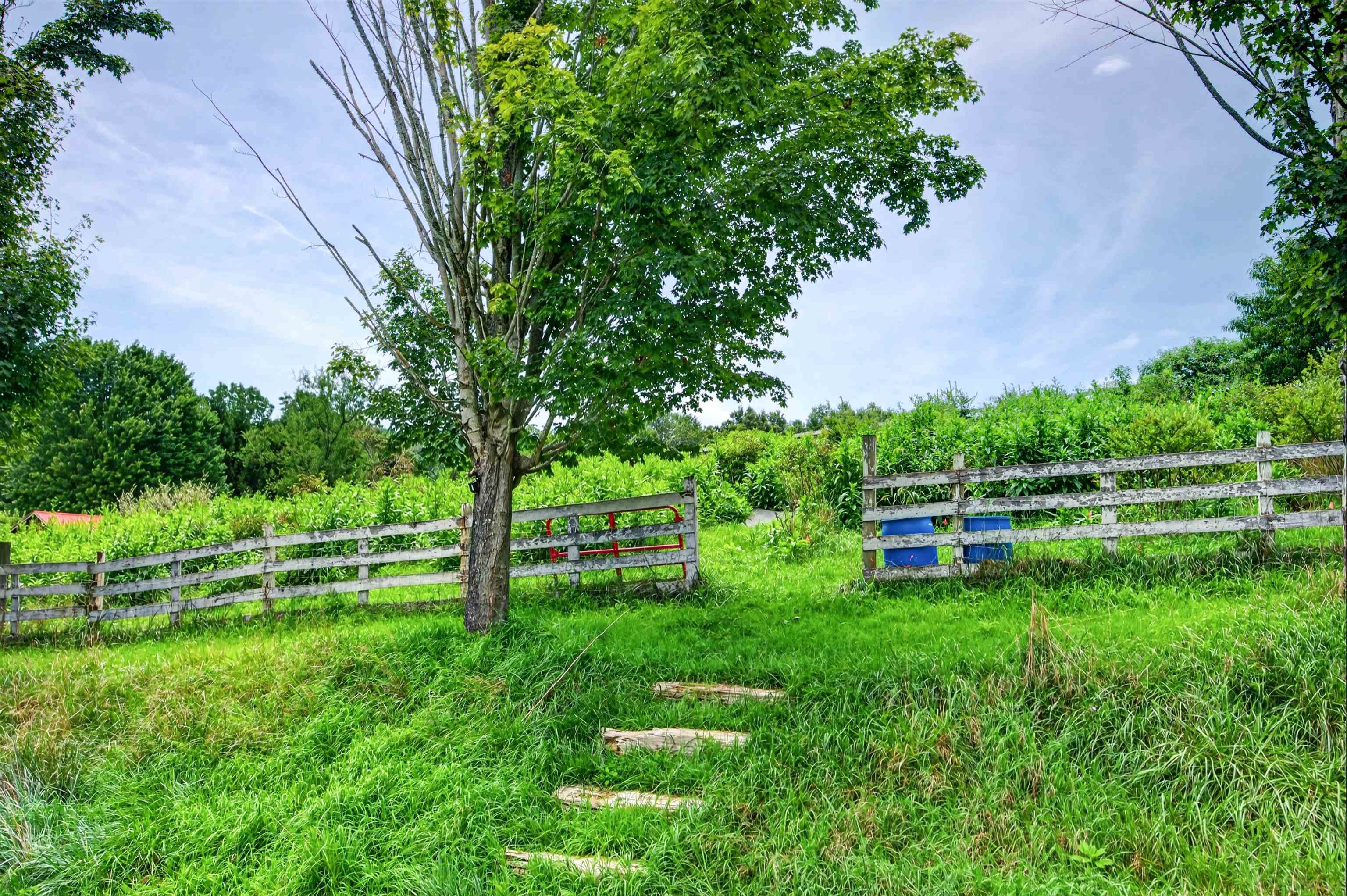 1825 Ferney Creek Road NW Willis VA 24380