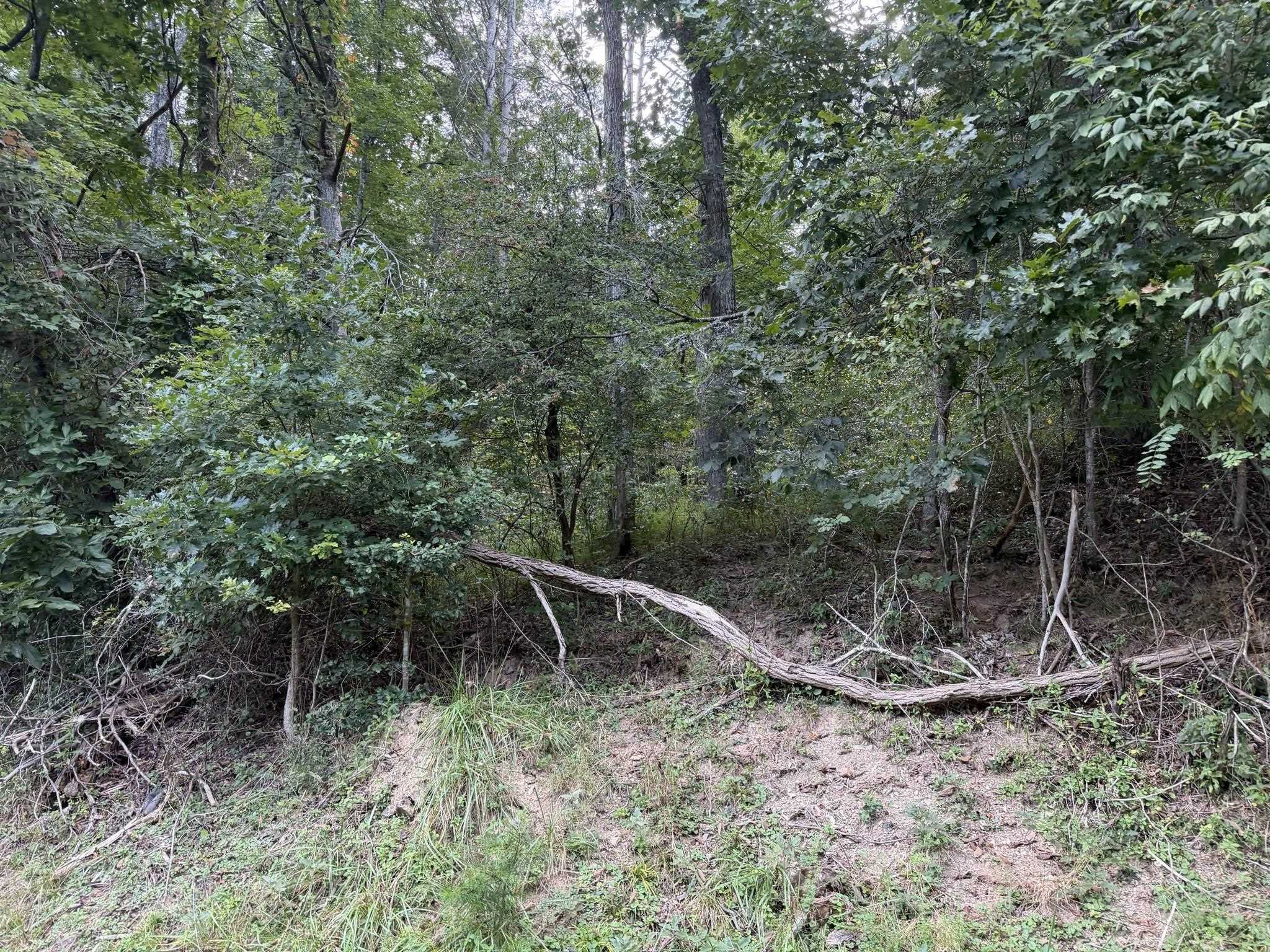 333 Stillhouse Hollow Road Saltville VA 24370