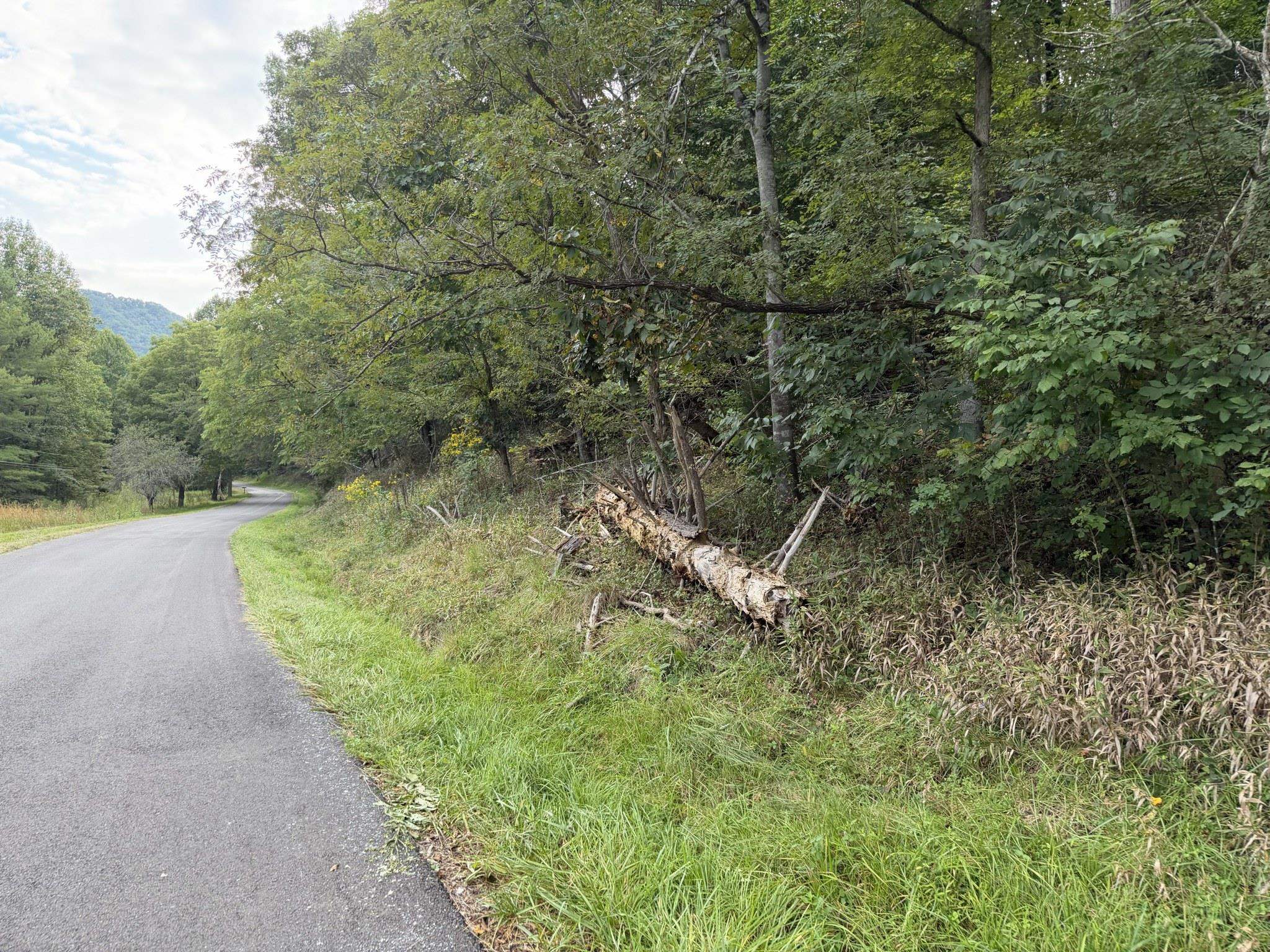 333 Stillhouse Hollow Road Saltville VA 24370