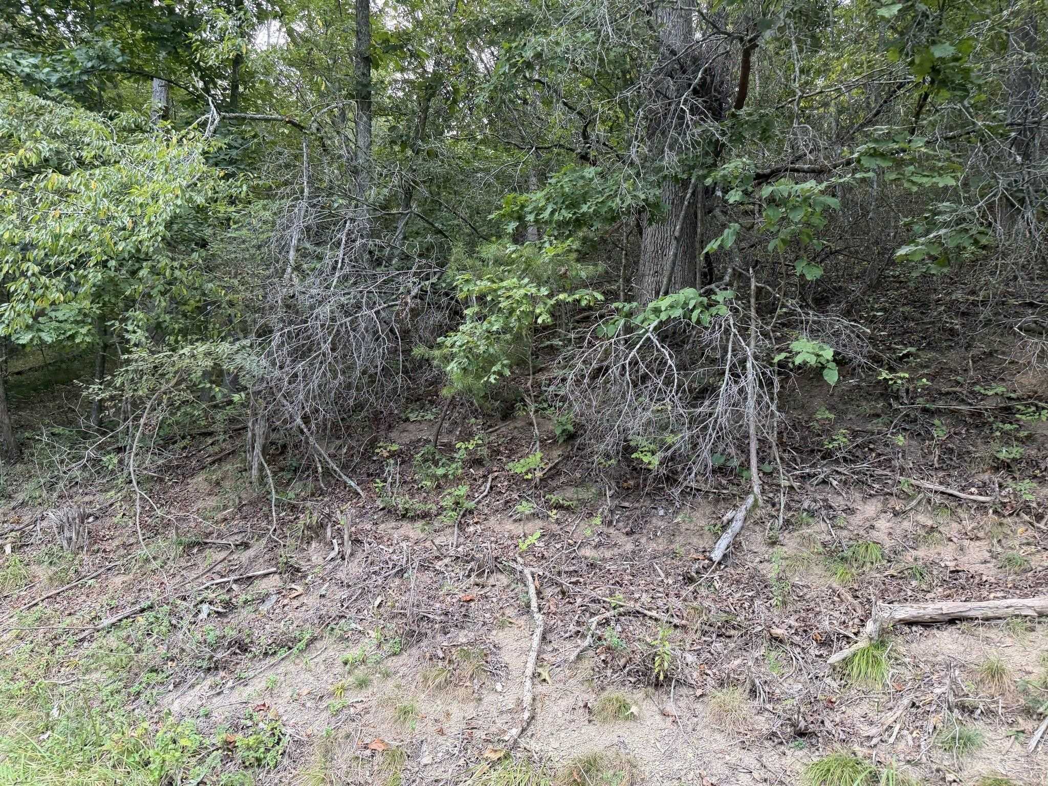 333 Stillhouse Hollow Road Saltville VA 24370