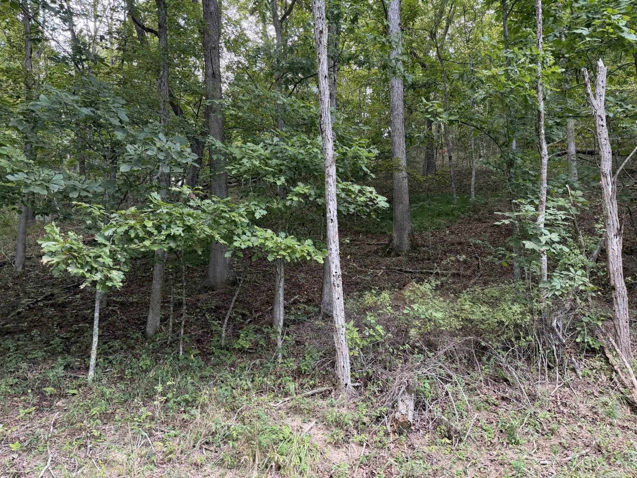 333 Stillhouse Hollow Road Saltville VA 24370