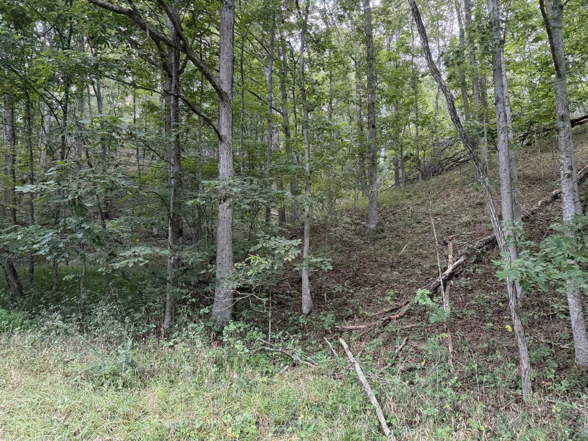 333 Stillhouse Hollow Road Saltville VA 24370