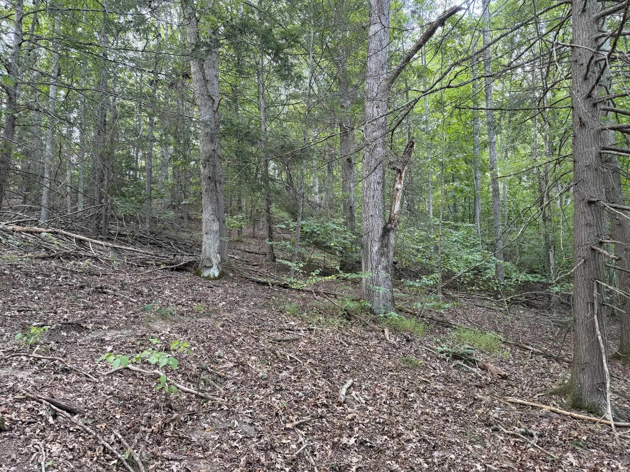 333 Stillhouse Hollow Road Saltville VA 24370