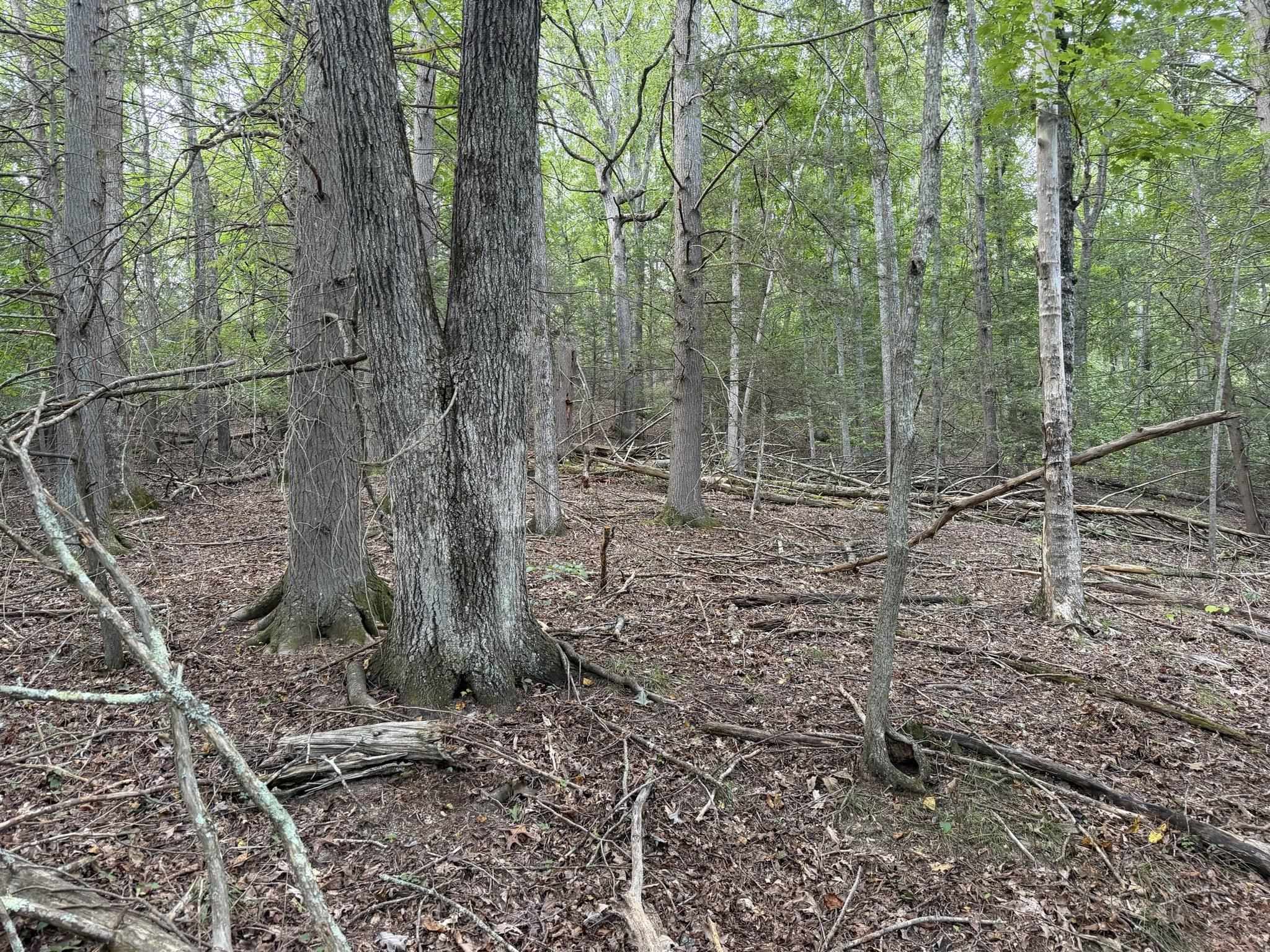 333 Stillhouse Hollow Road Saltville VA 24370