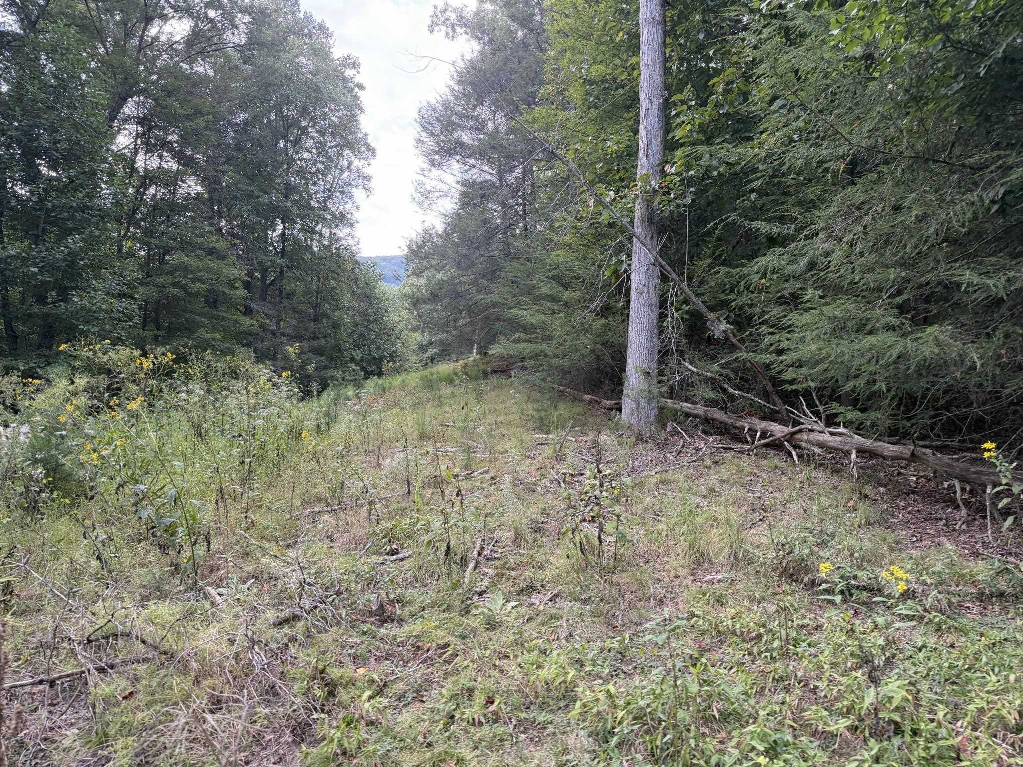 333 Stillhouse Hollow Road Saltville VA 24370