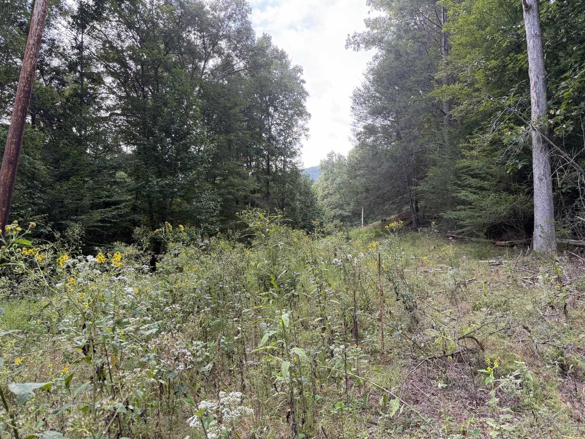 333 Stillhouse Hollow Road Saltville VA 24370