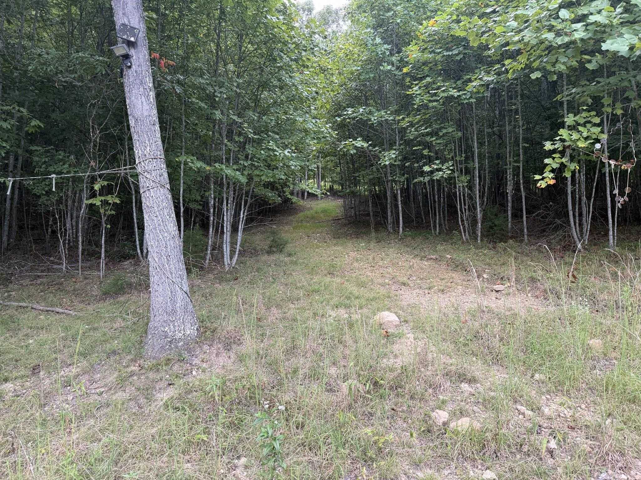 333 Stillhouse Hollow Road Saltville VA 24370