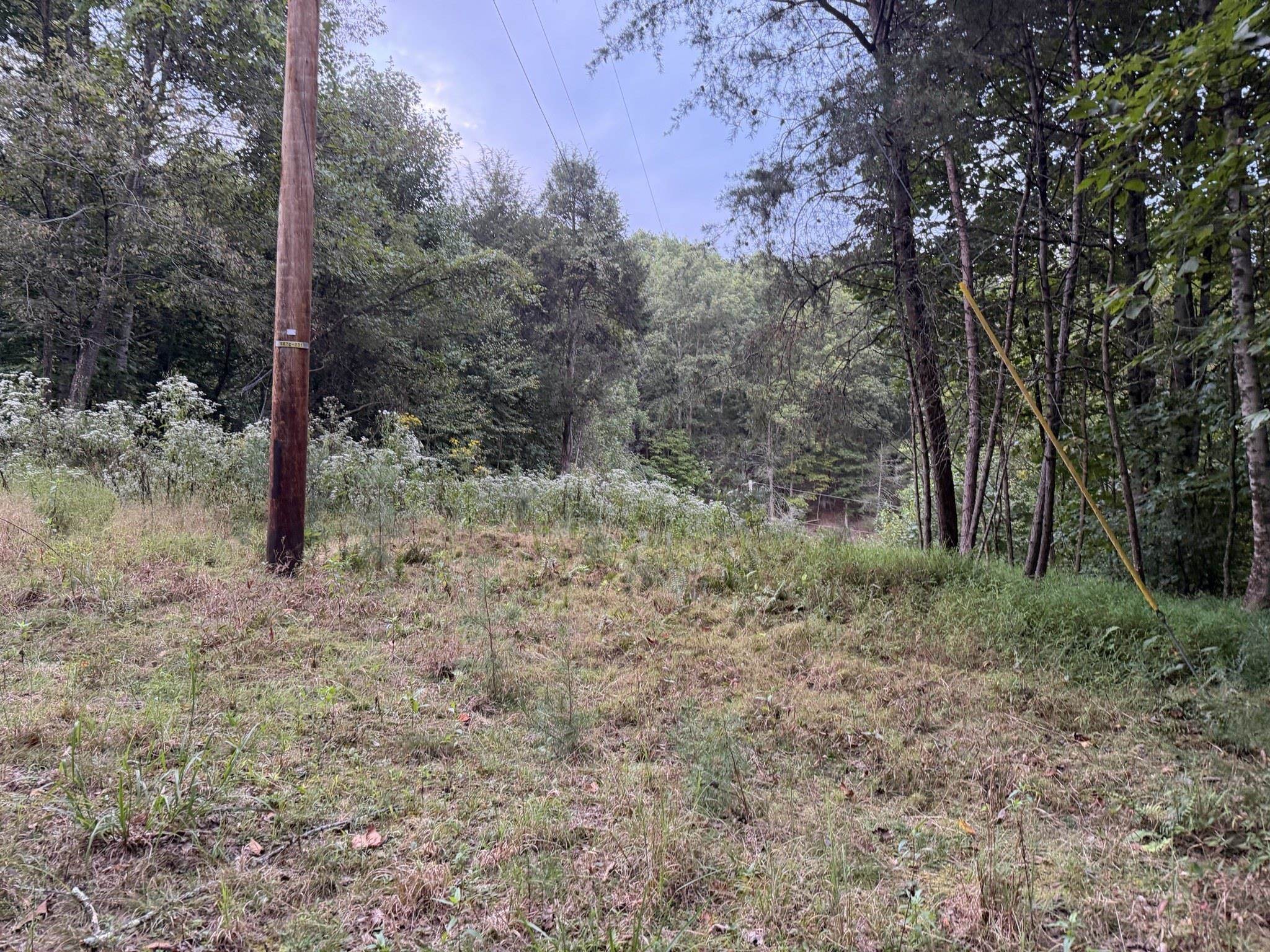 333 Stillhouse Hollow Road Saltville VA 24370