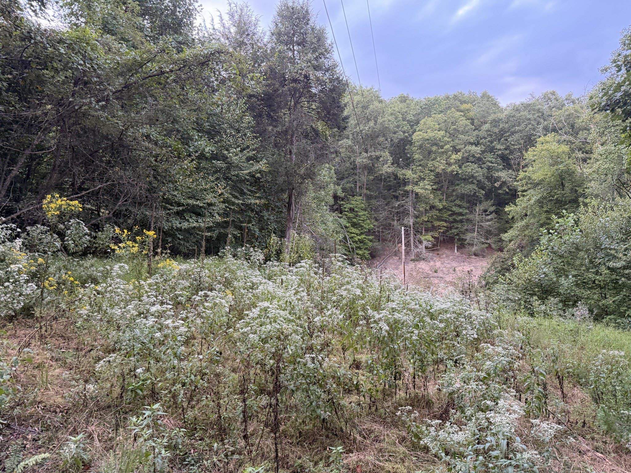 333 Stillhouse Hollow Road Saltville VA 24370