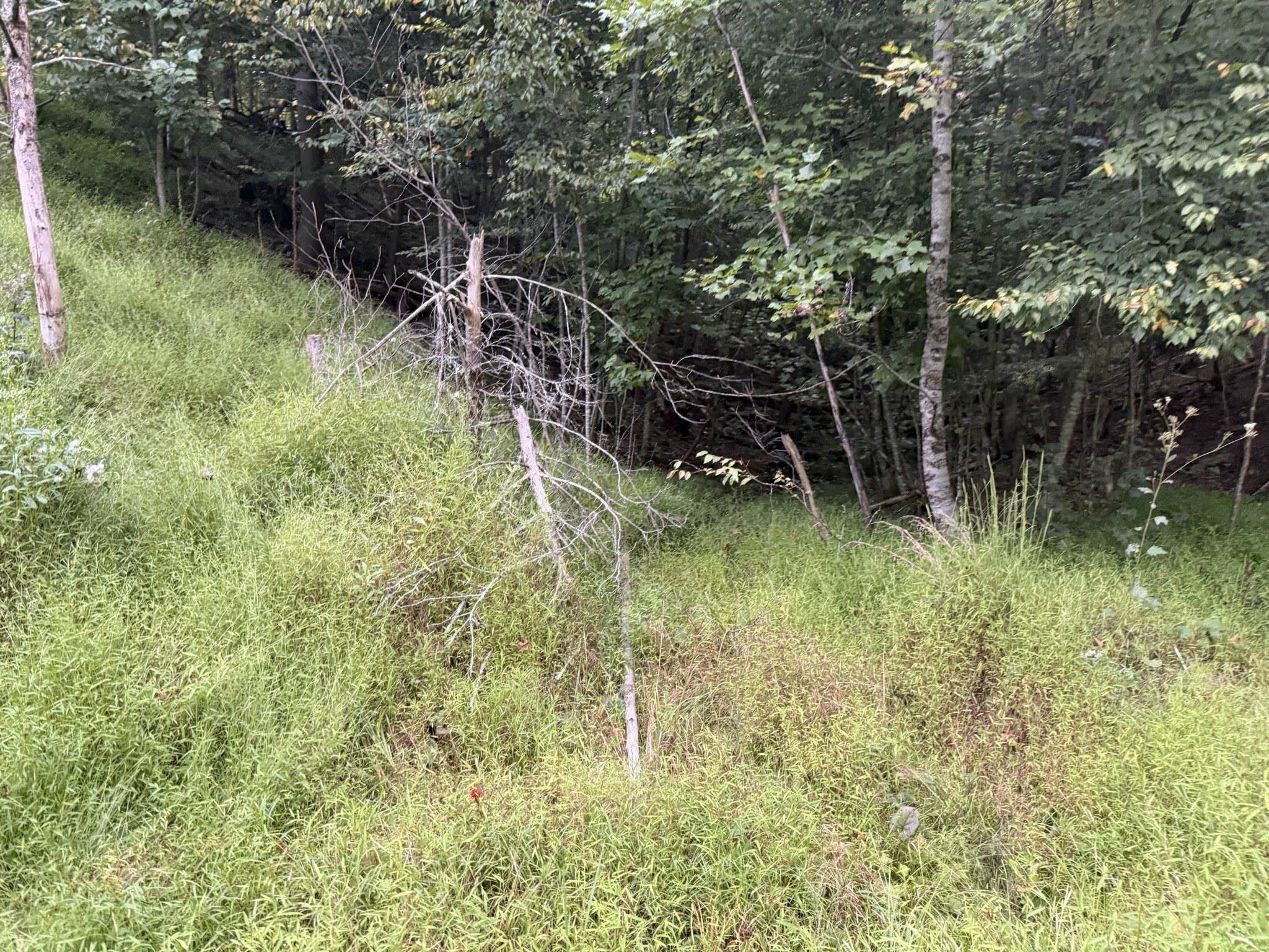 333 Stillhouse Hollow Road Saltville VA 24370