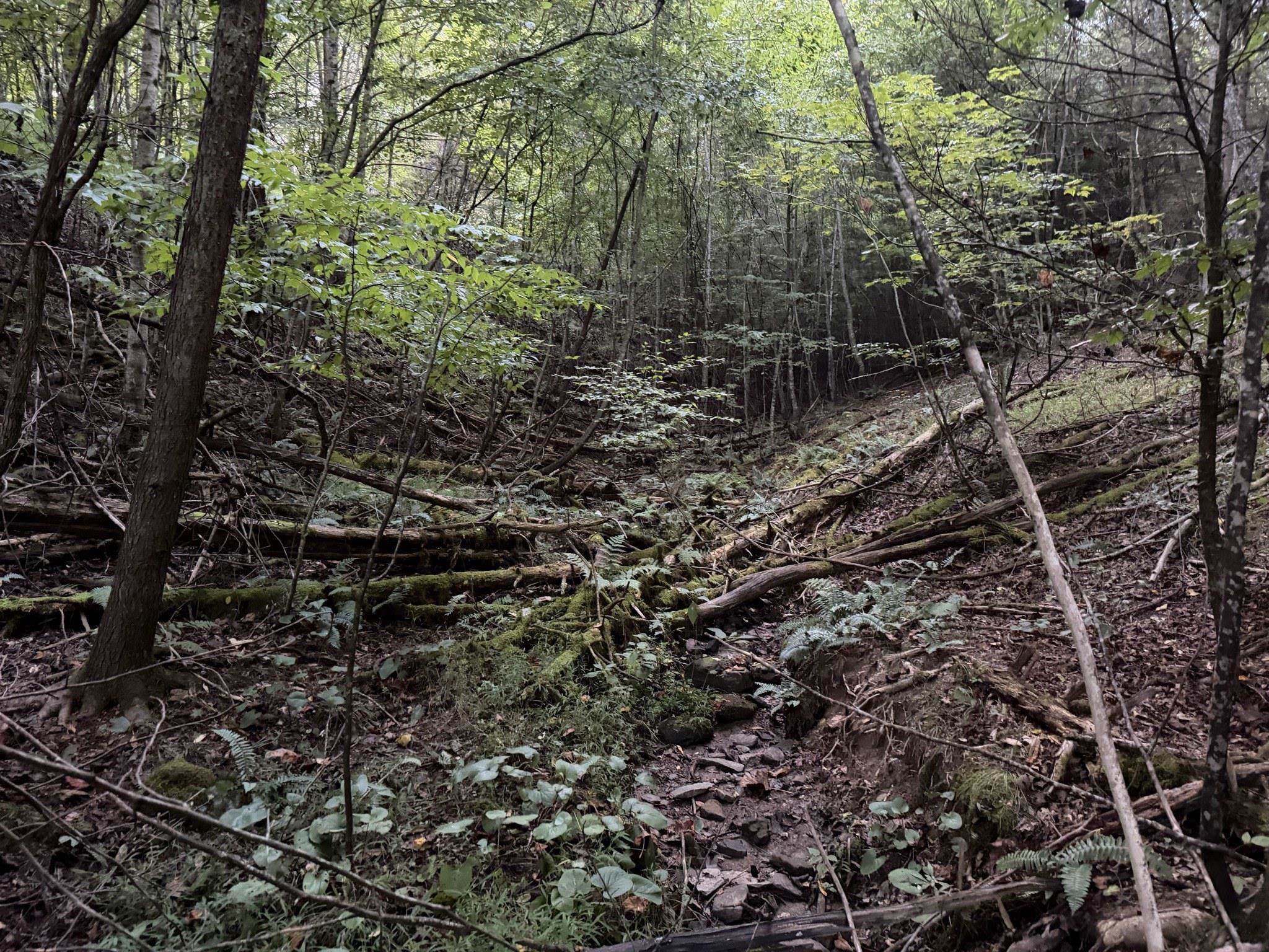 333 Stillhouse Hollow Road Saltville VA 24370