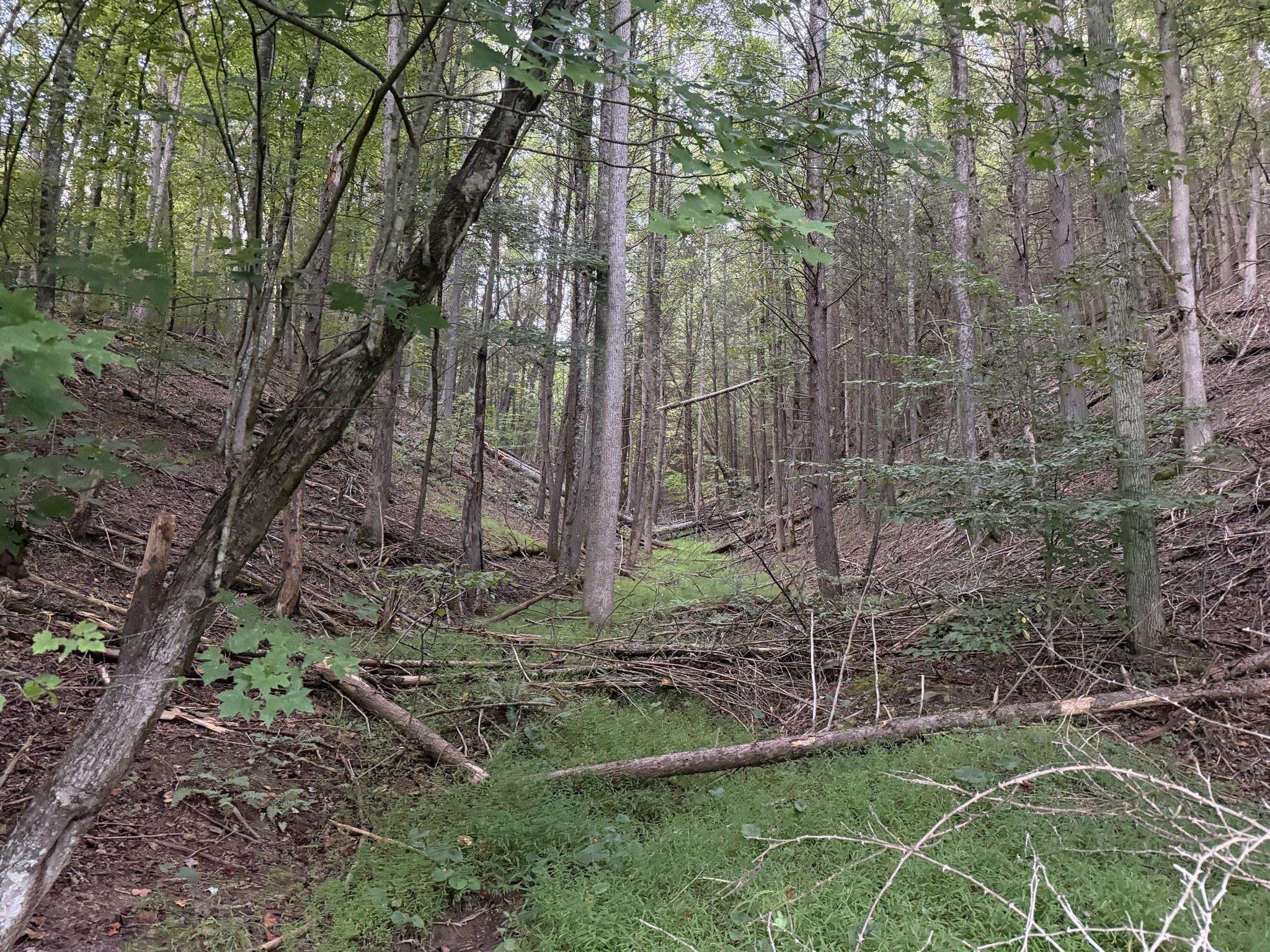 333 Stillhouse Hollow Road Saltville VA 24370