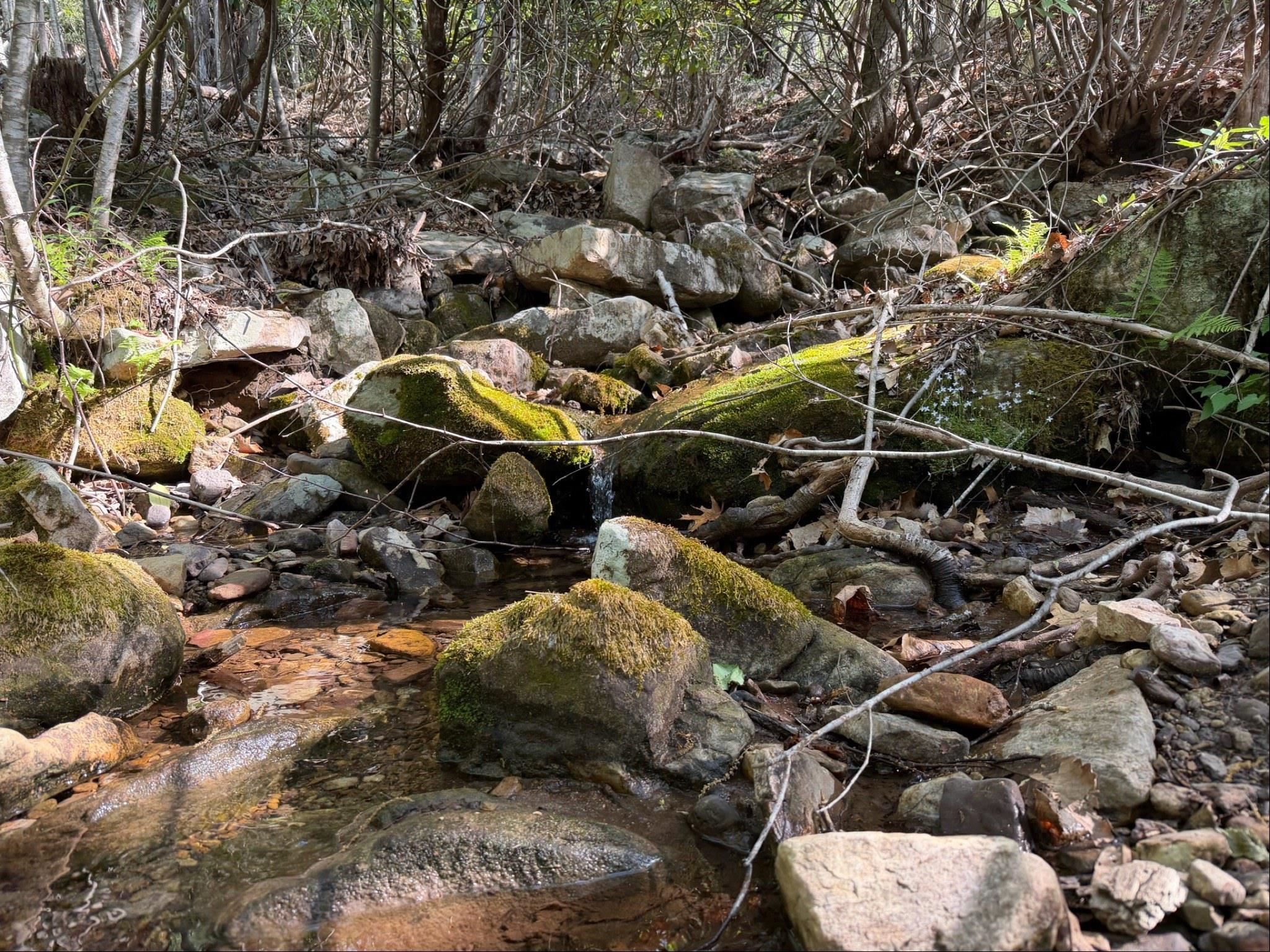 333 Stillhouse Hollow Road Saltville VA 24370