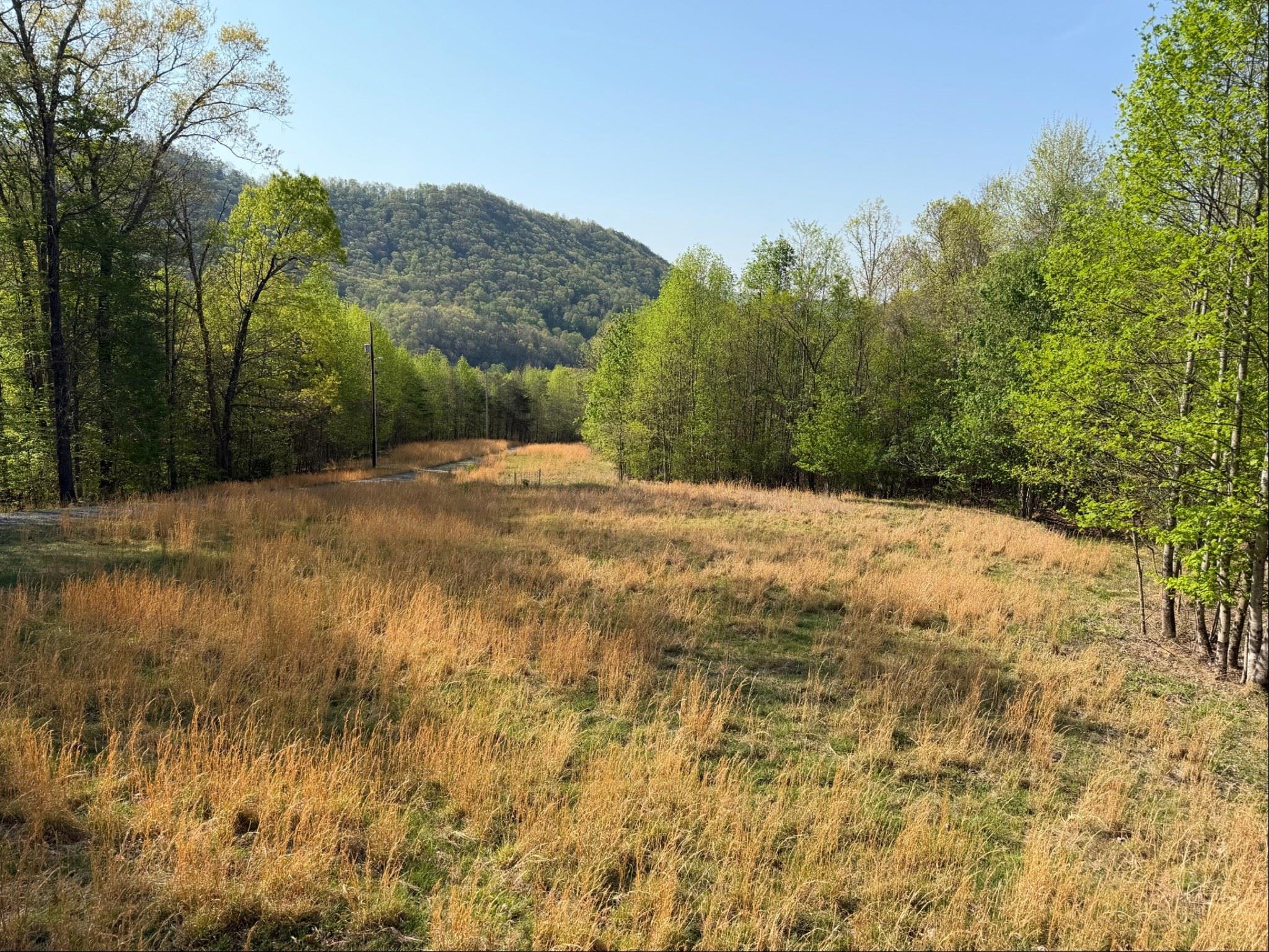 333 Stillhouse Hollow Road Saltville VA 24370