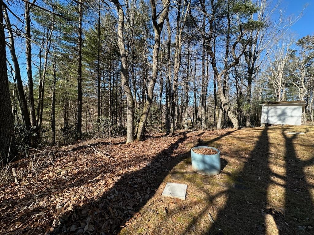 67 Forest Haven Drive Fancy Gap VA 24328