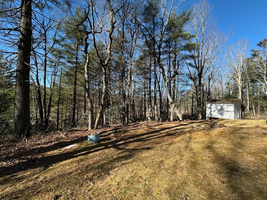 67 Forest Haven Drive Fancy Gap VA 24328