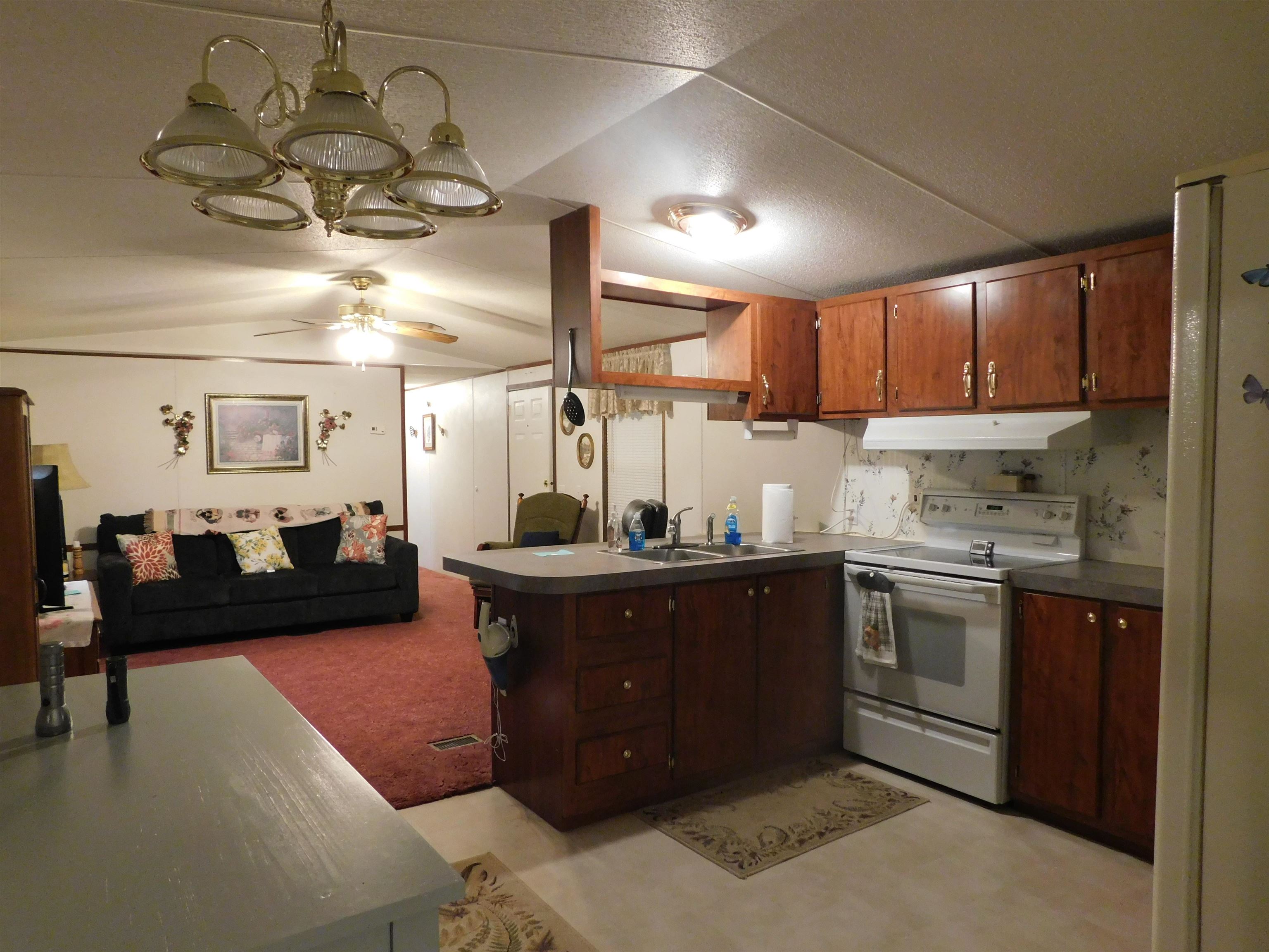 67 Forest Haven Drive Fancy Gap VA 24328