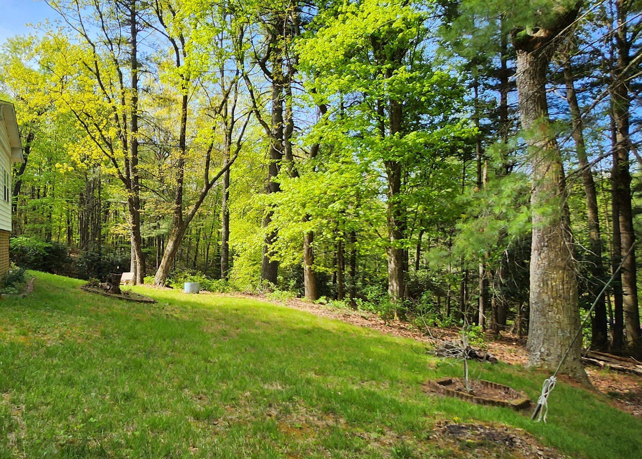 67 Forest Haven Drive Fancy Gap VA 24328
