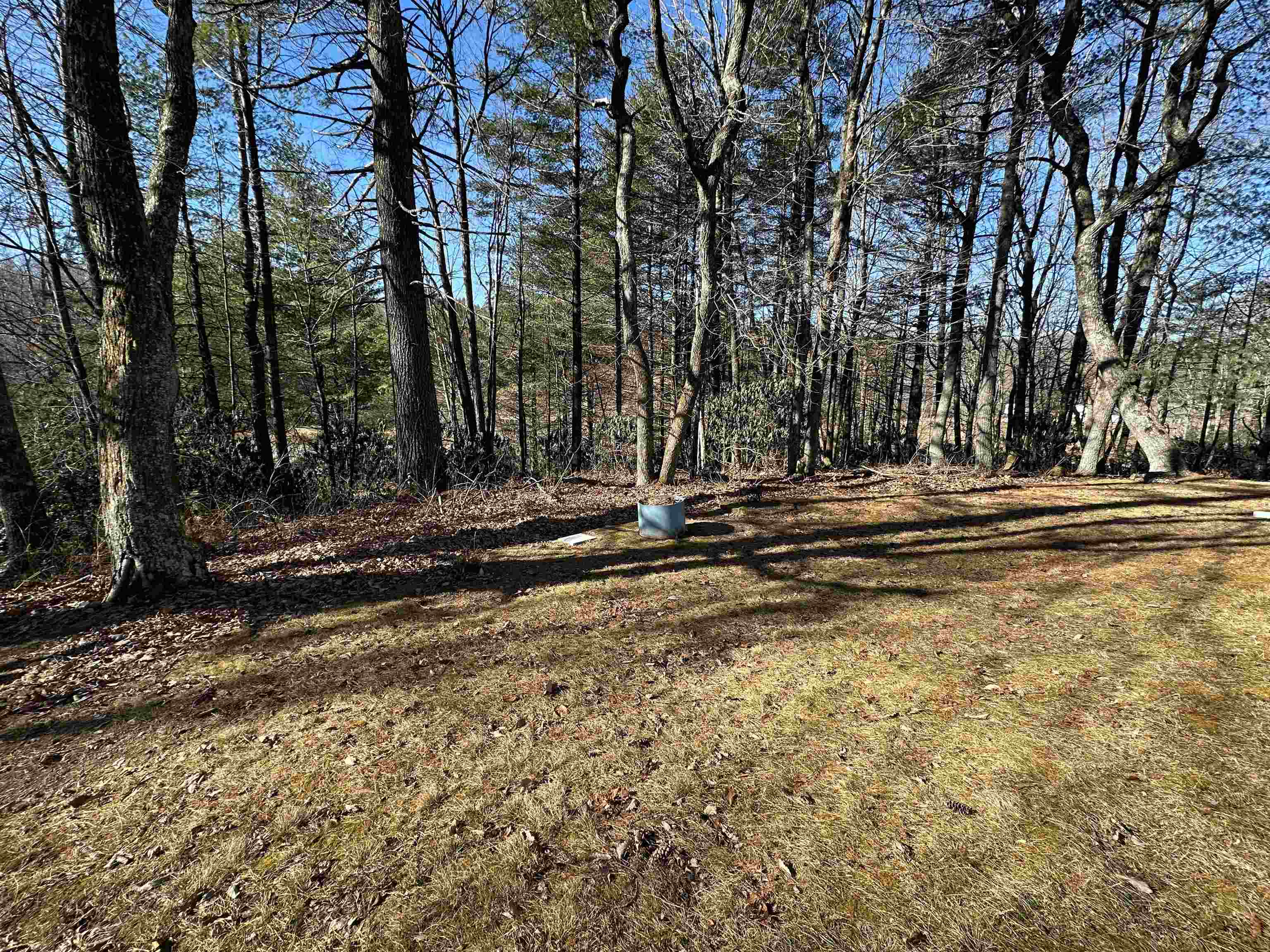 67 Forest Haven Drive Fancy Gap VA 24328