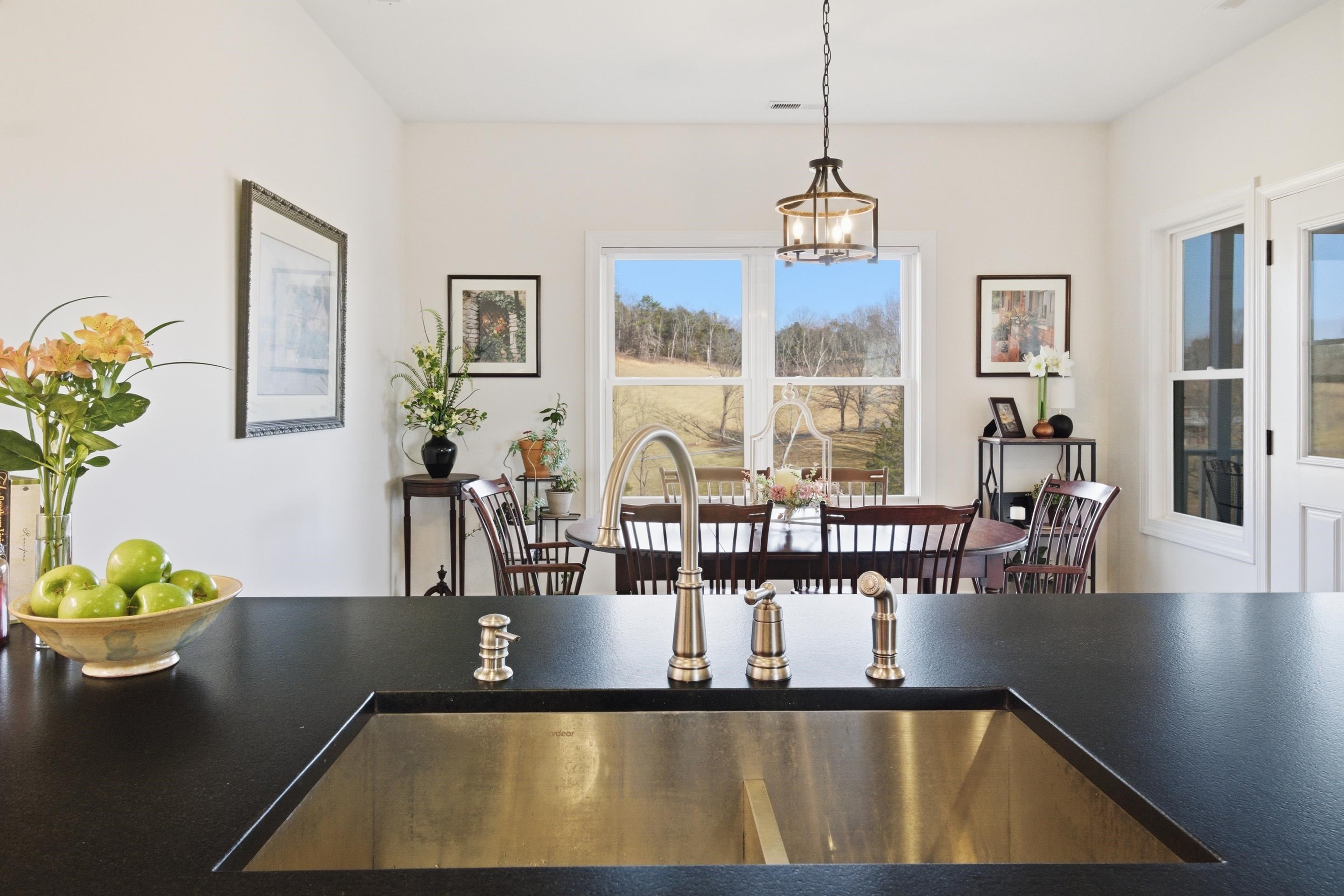 6671 Tanager Lane Dublin VA 24084