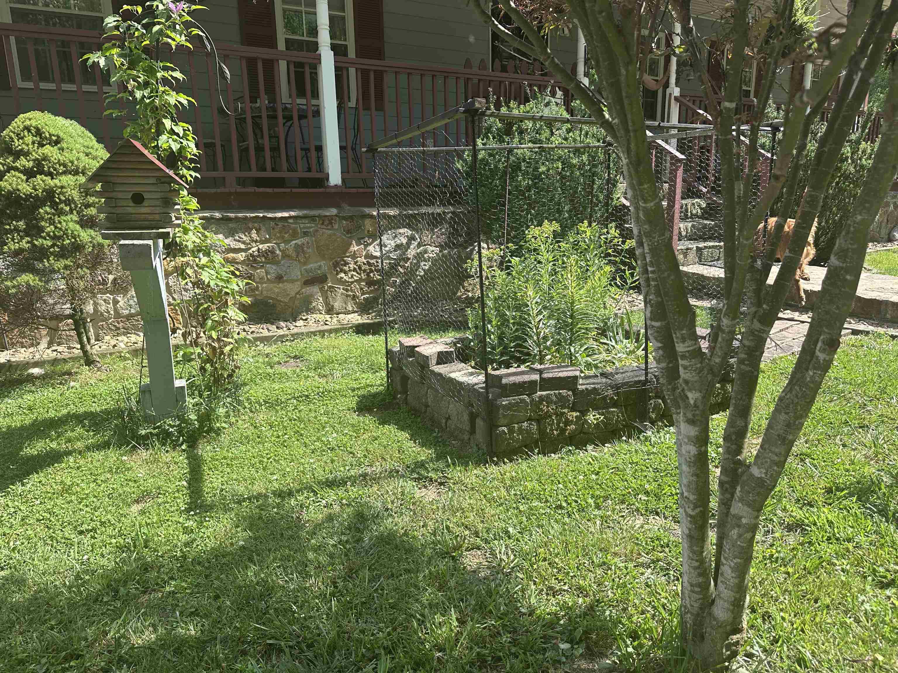 5380 Laurel Fork Road Rocky Gap VA 24366