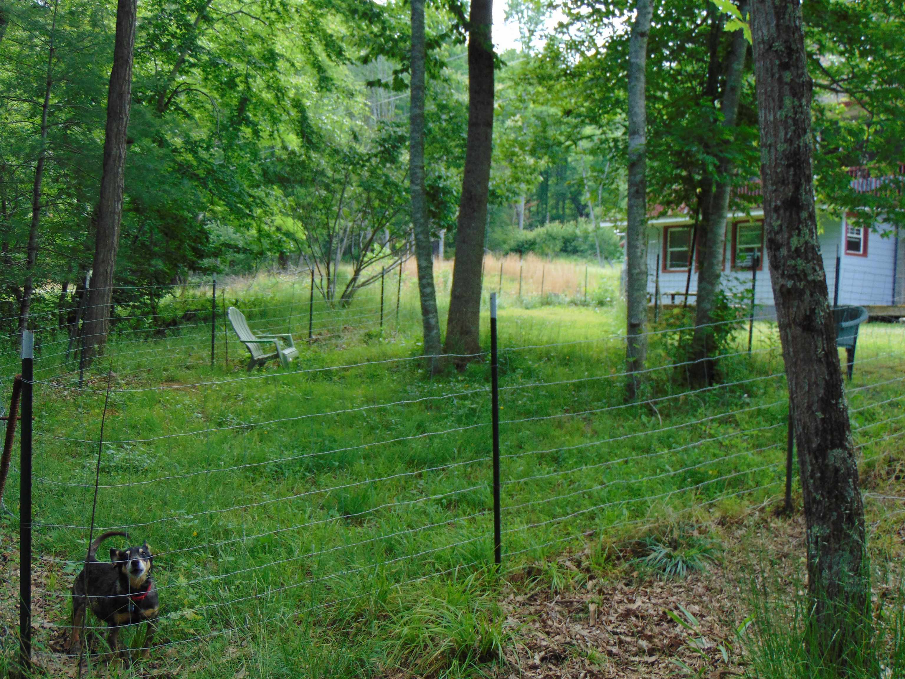 5380 Laurel Fork Road Rocky Gap VA 24366