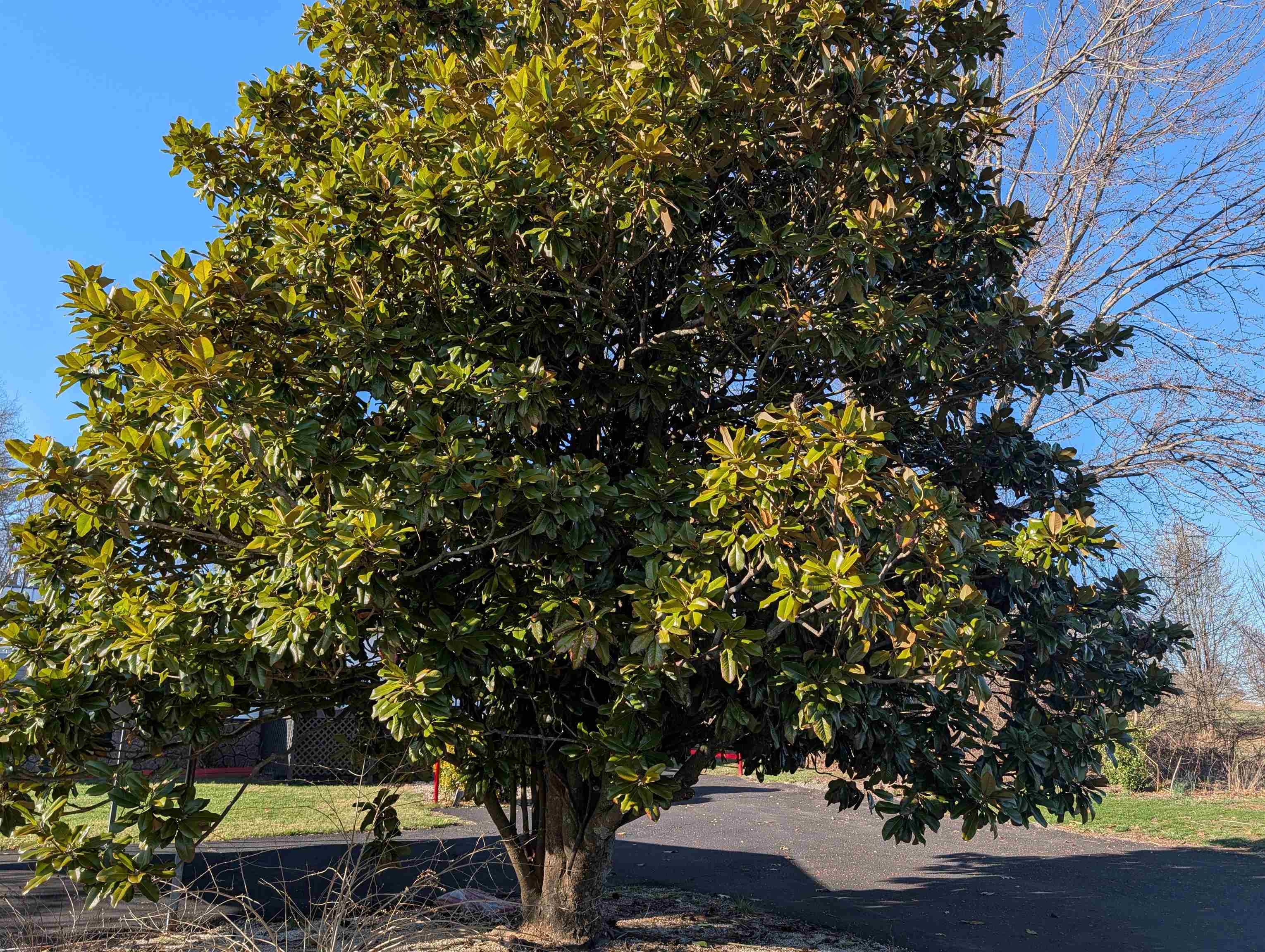 5505 Cleburne Boulevard Dublin VA 24084