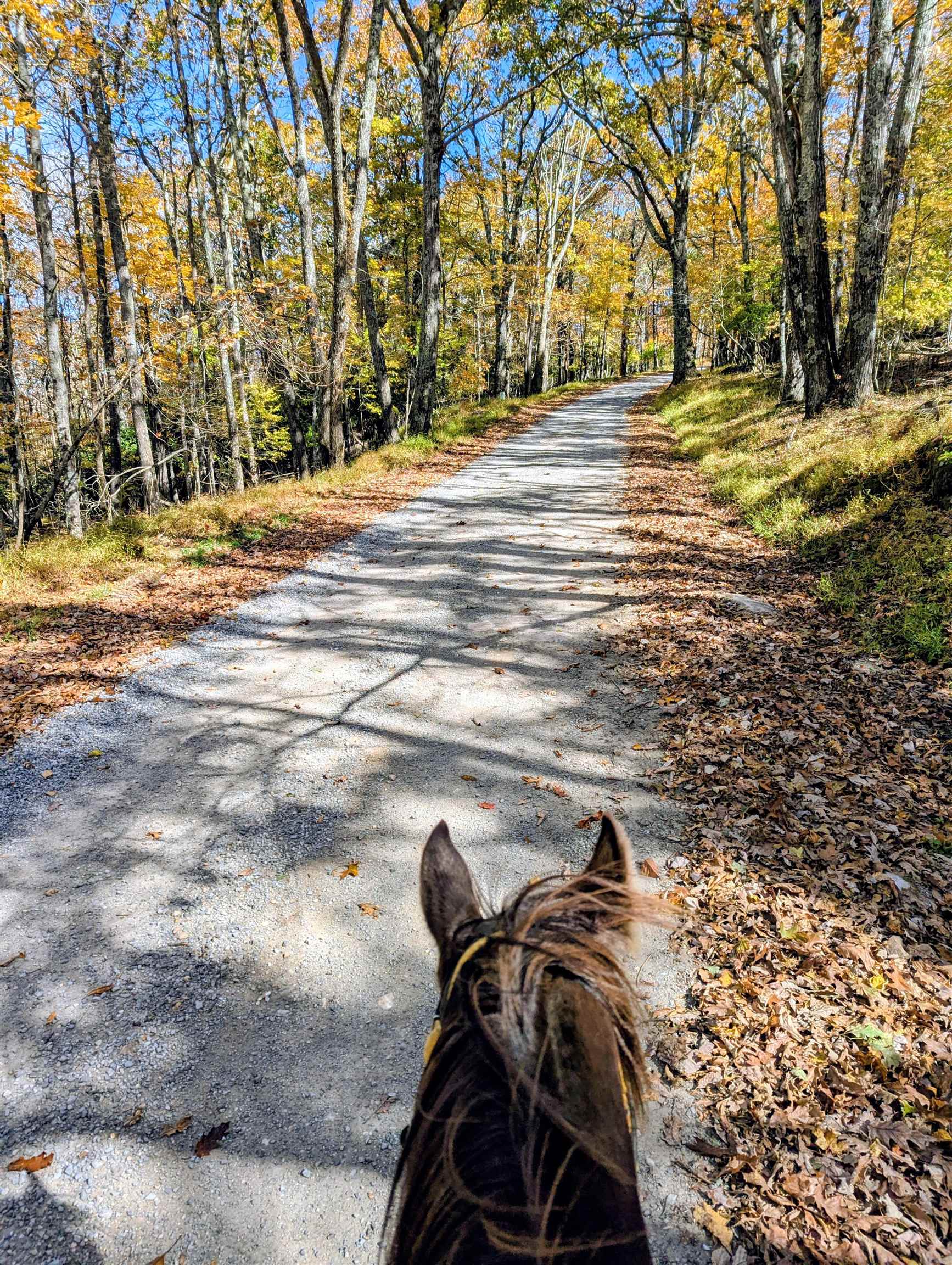 3384 Fairview Church Road Floyd VA 24091