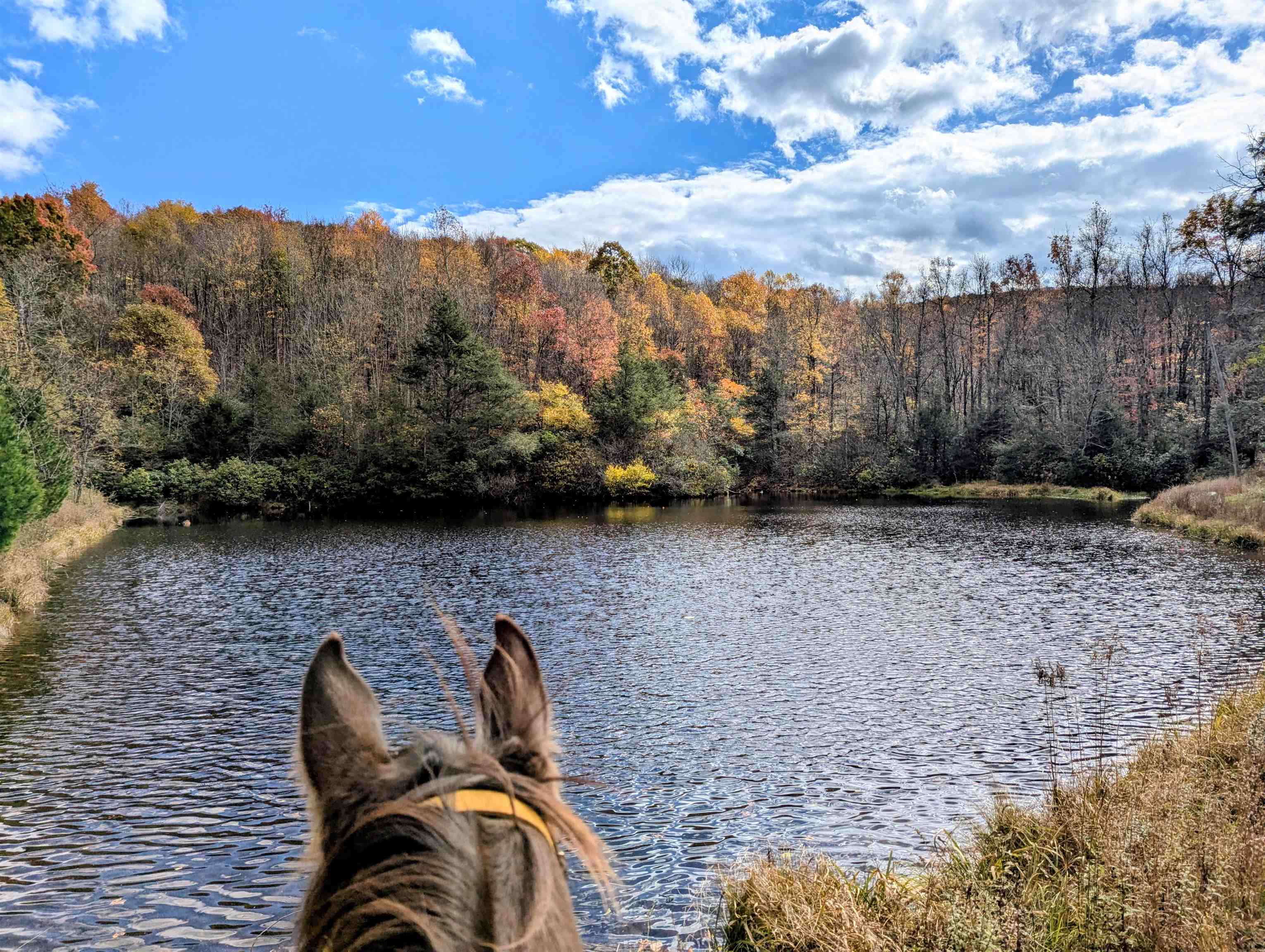 3384 Fairview Church Road Floyd VA 24091