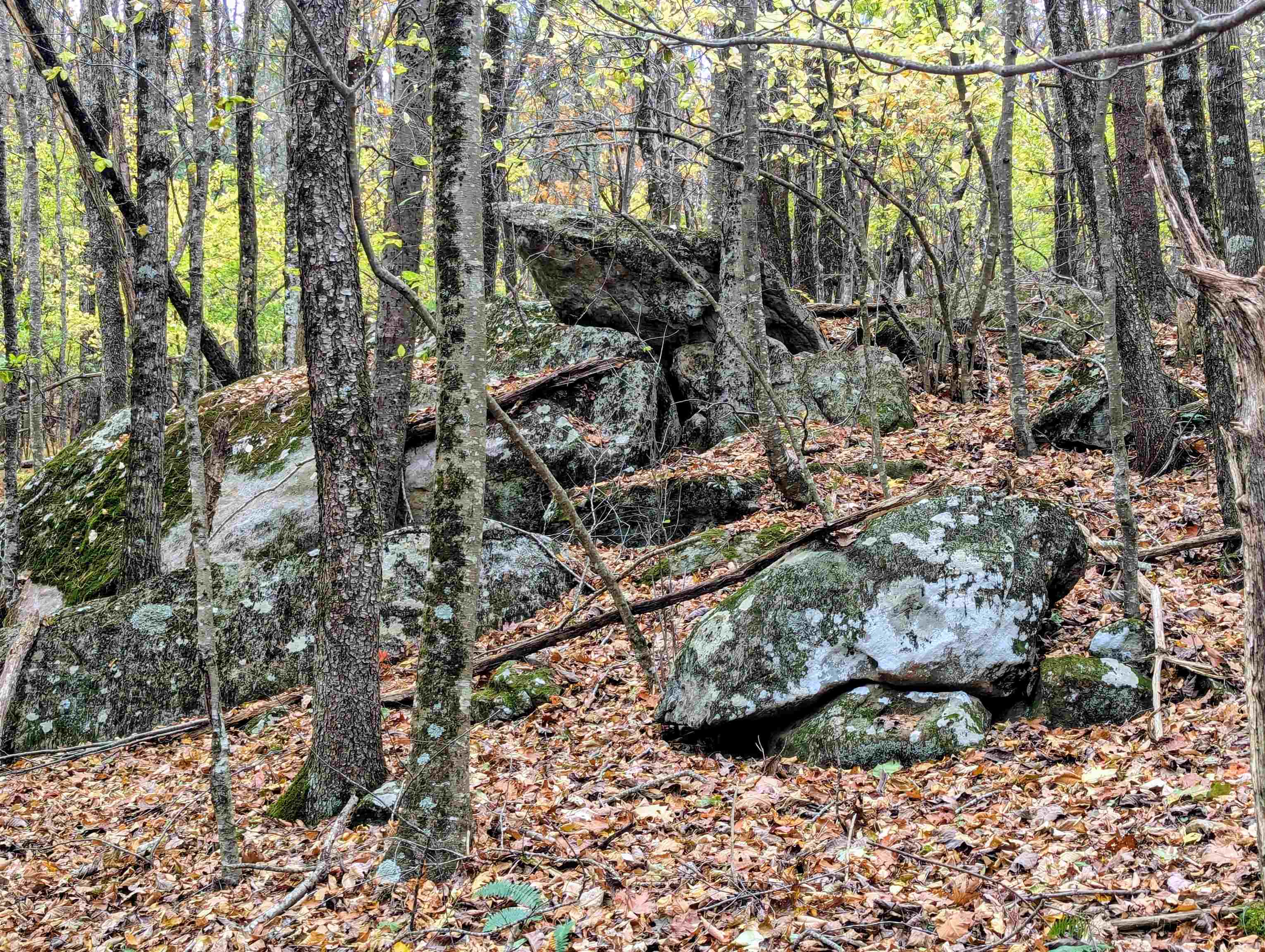 3384 Fairview Church Road Floyd VA 24091