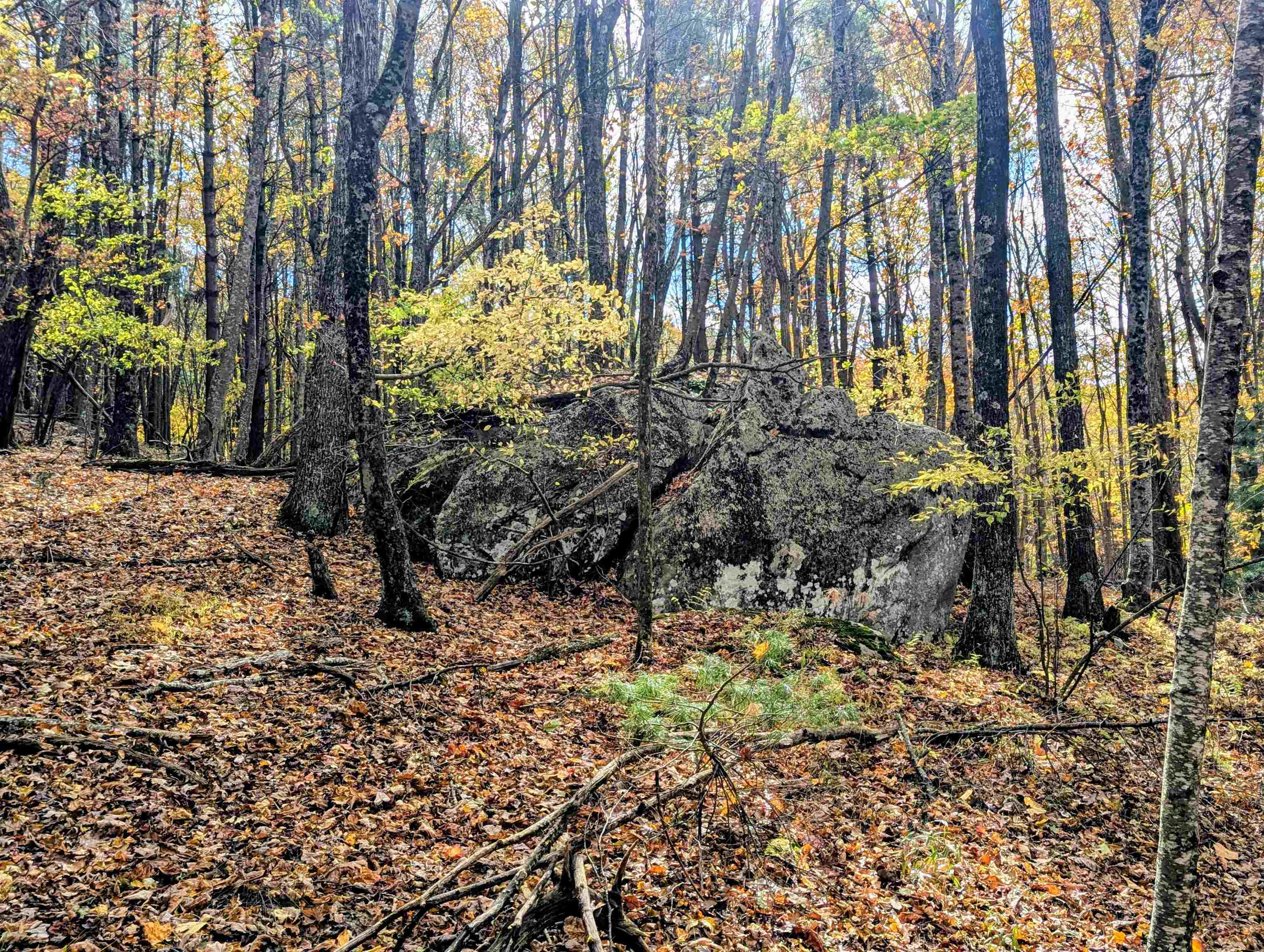 3384 Fairview Church Road Floyd VA 24091