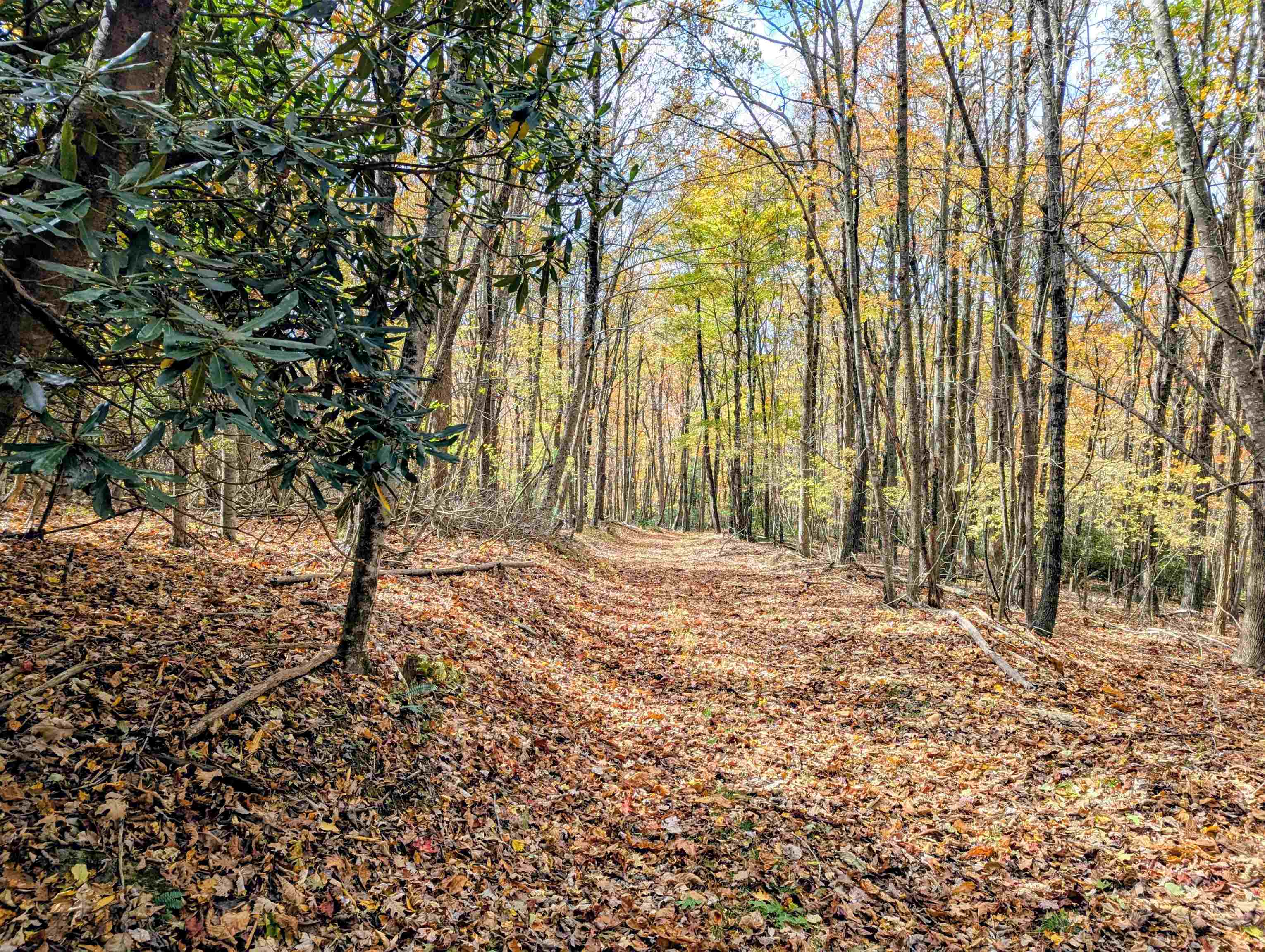 3384 Fairview Church Road Floyd VA 24091