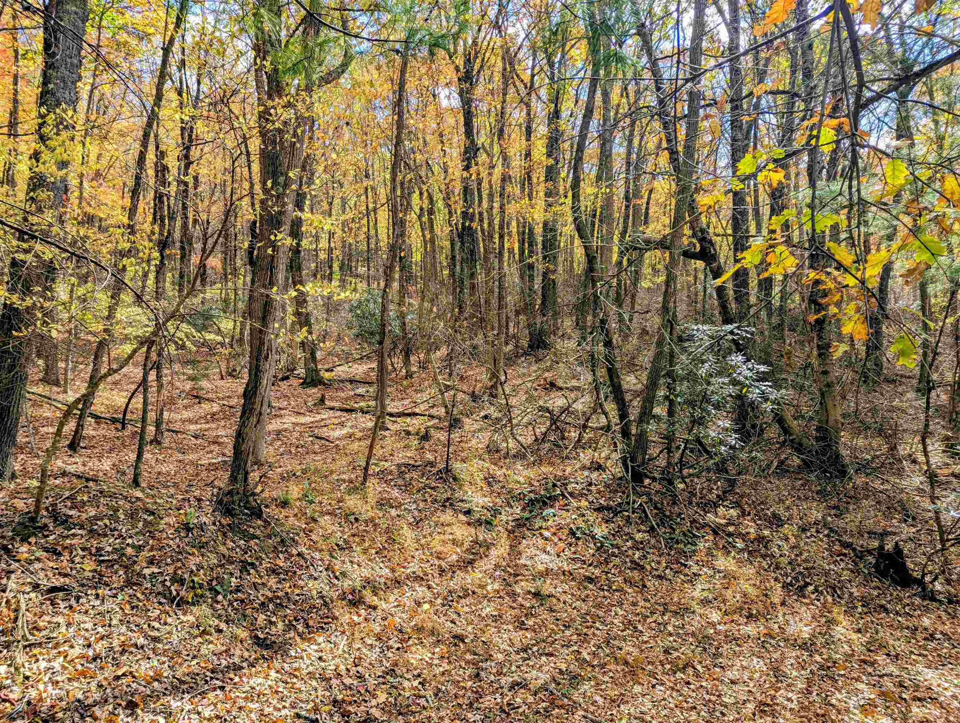 3384 Fairview Church Road Floyd VA 24091