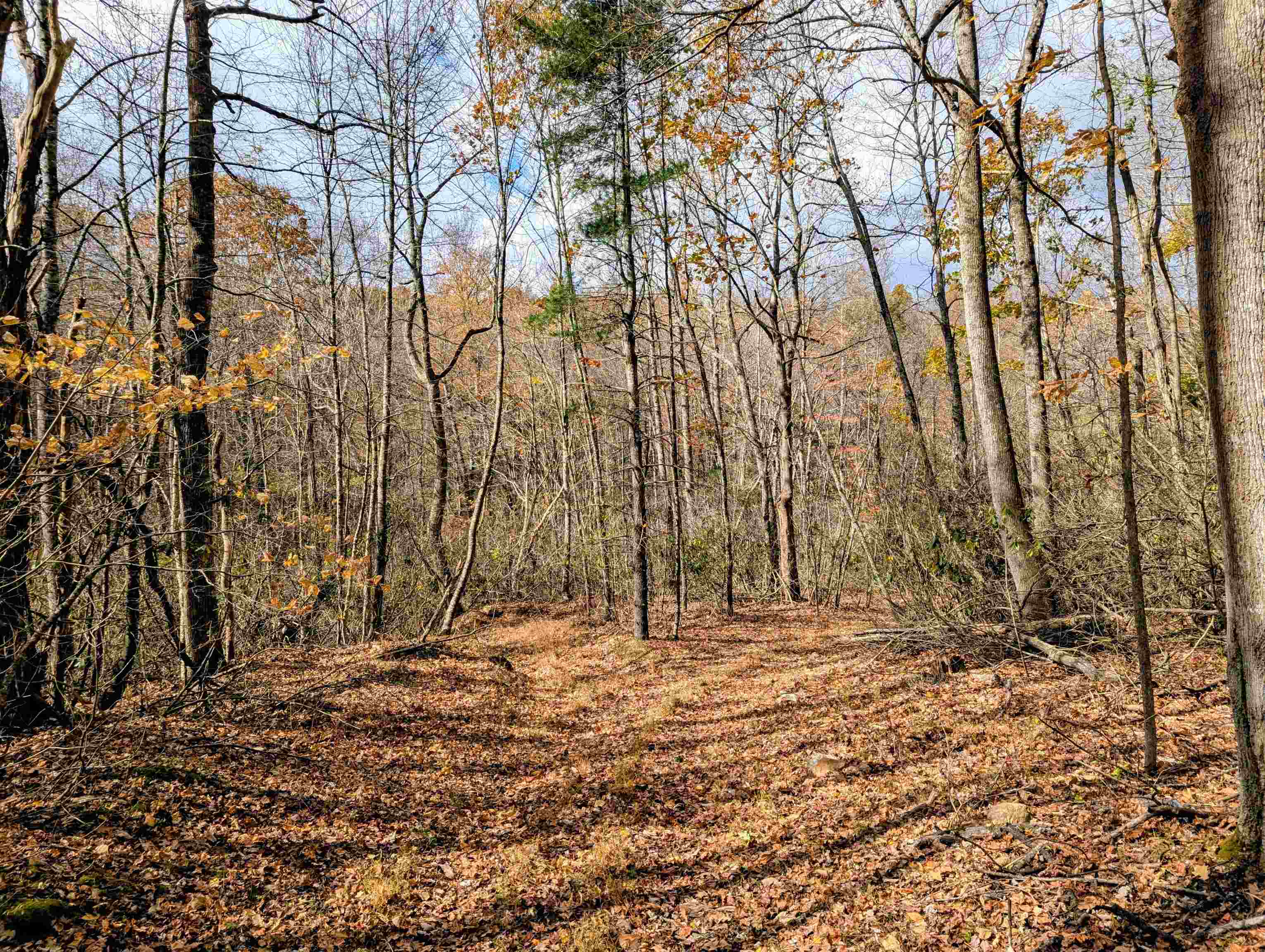 3384 Fairview Church Road Floyd VA 24091