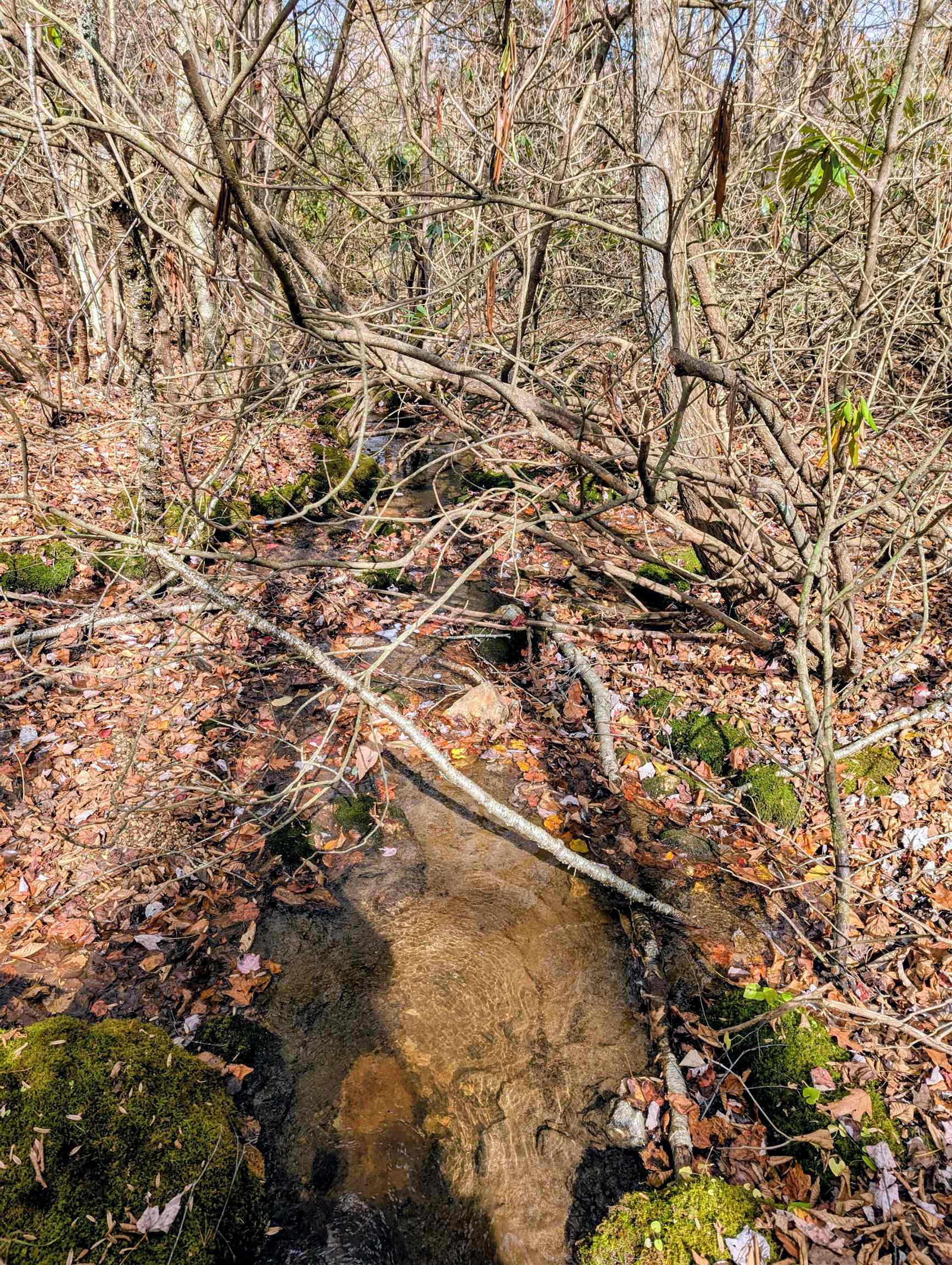 3384 Fairview Church Road Floyd VA 24091