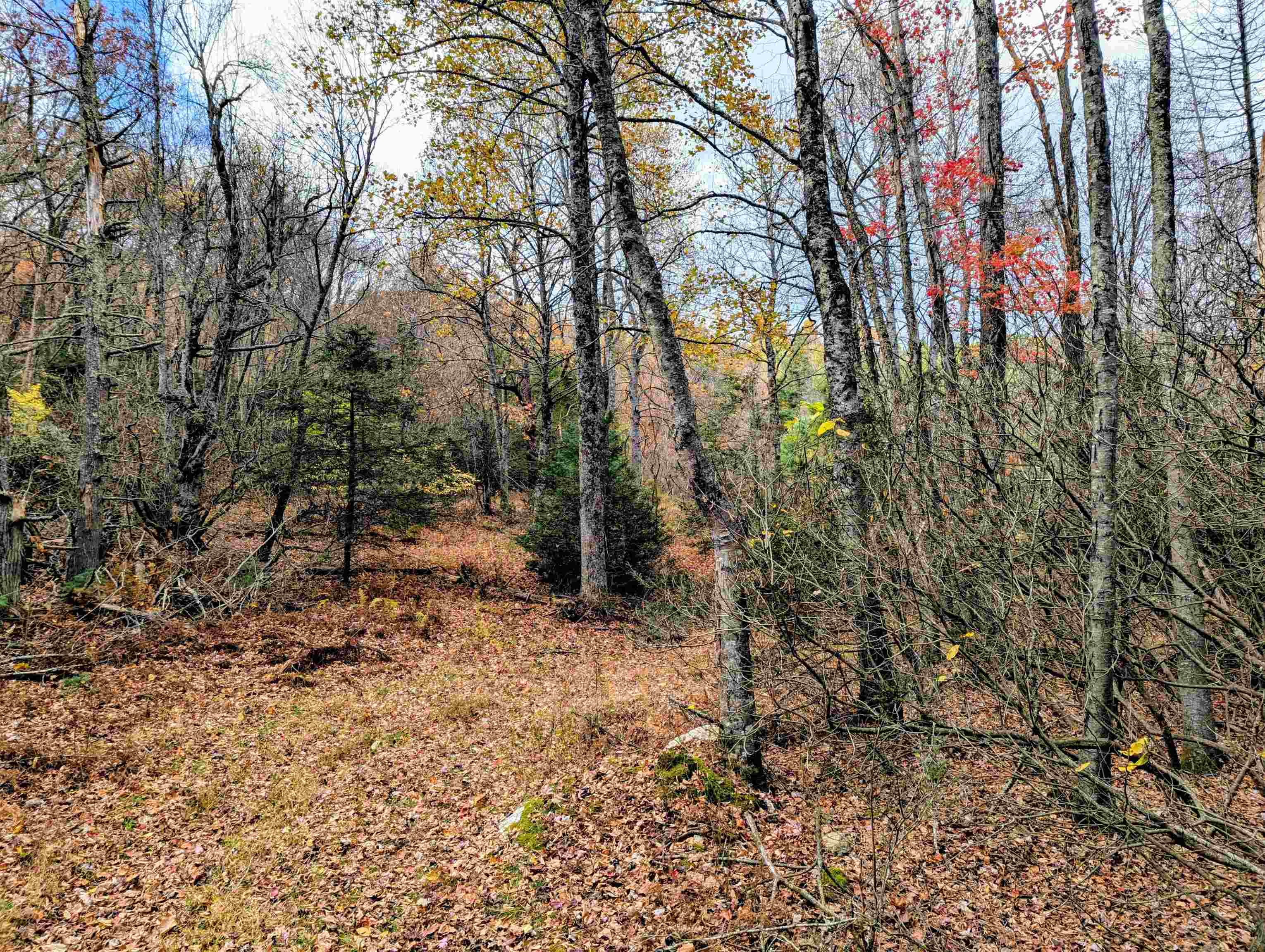 3384 Fairview Church Road Floyd VA 24091