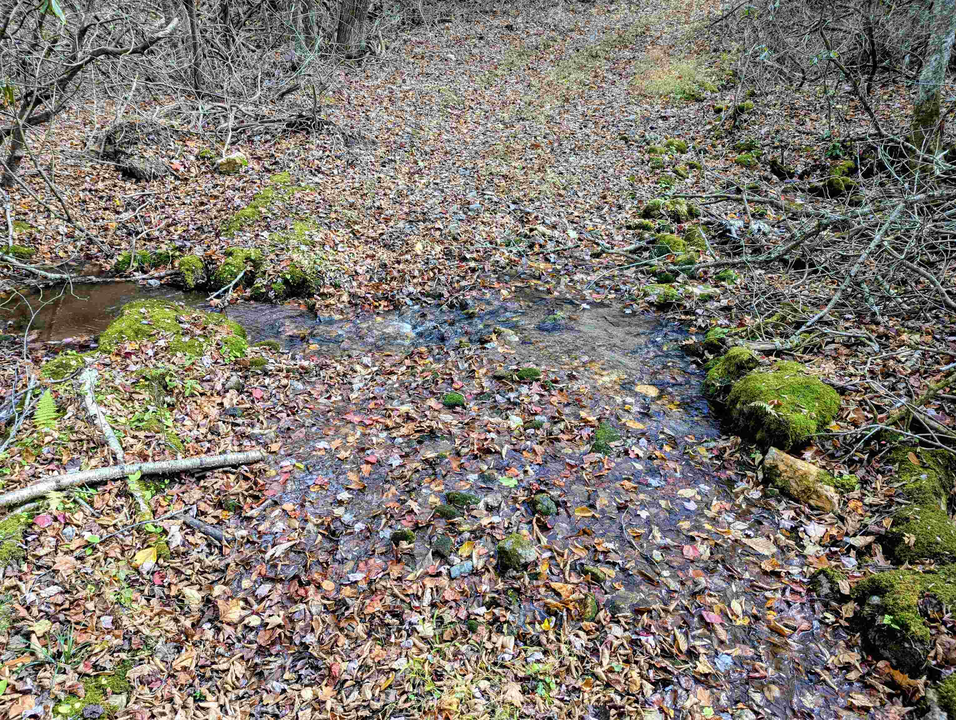 3384 Fairview Church Road Floyd VA 24091