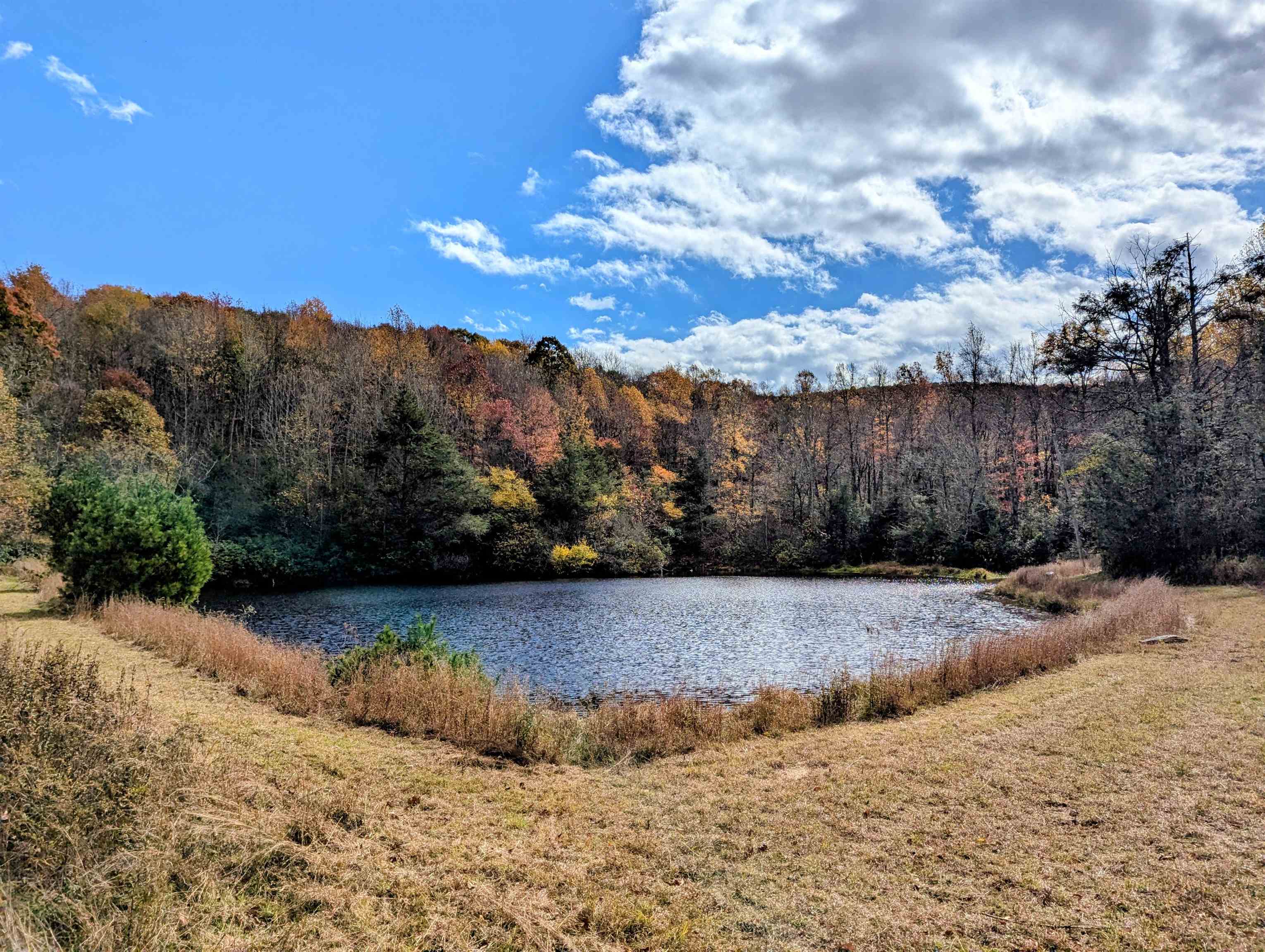 3384 Fairview Church Road Floyd VA 24091