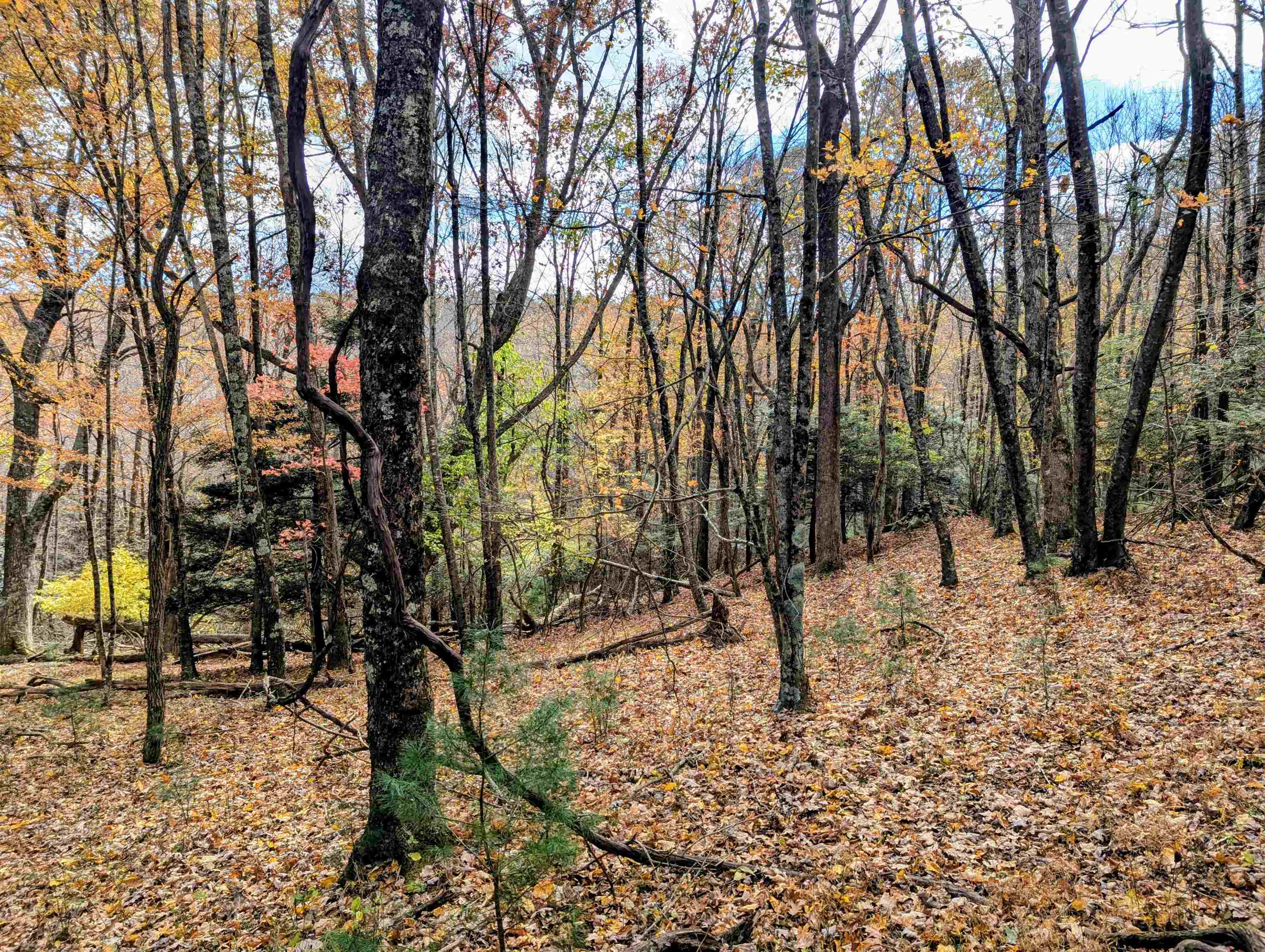 3384 Fairview Church Road Floyd VA 24091