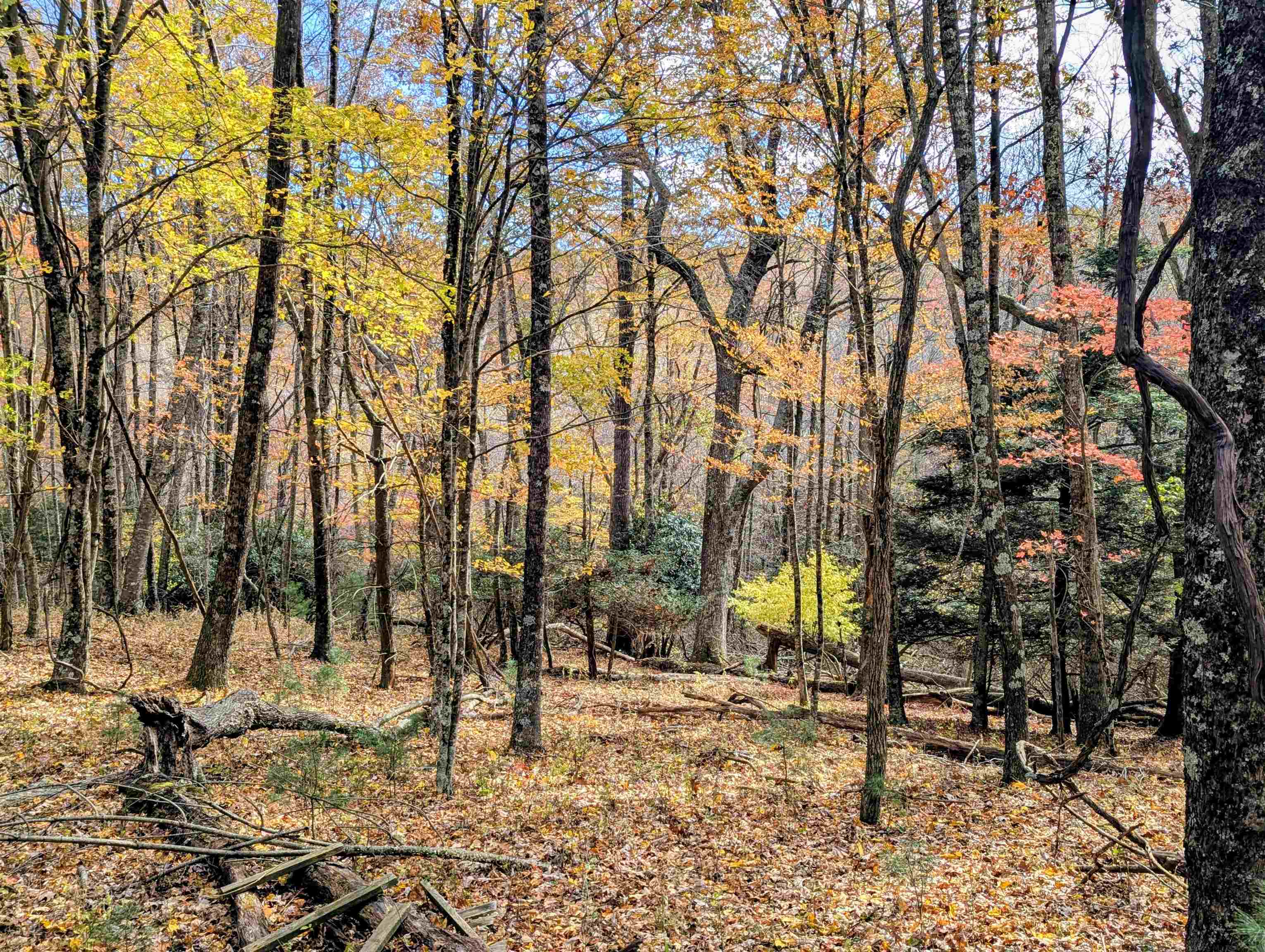 3384 Fairview Church Road Floyd VA 24091