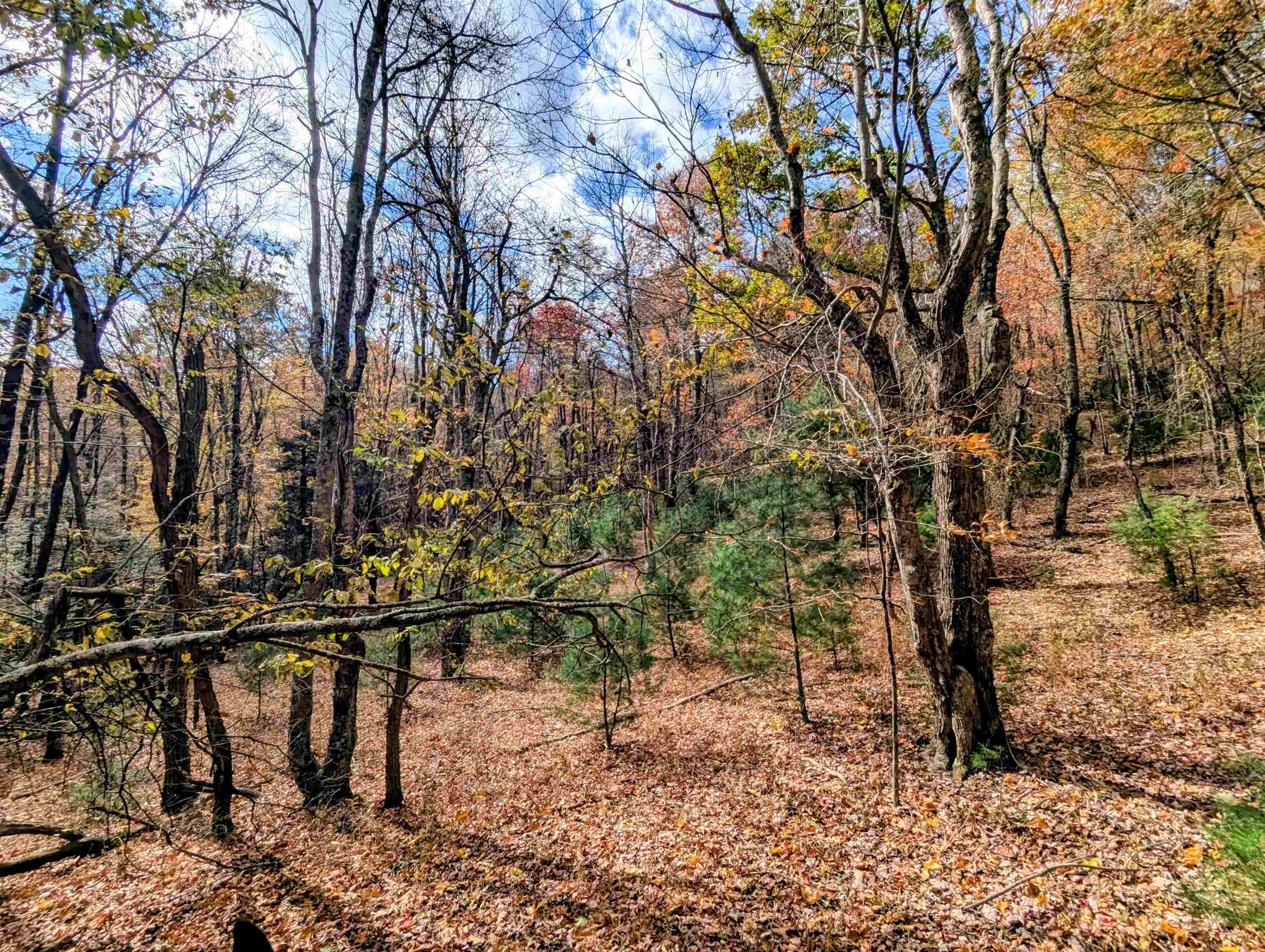 3384 Fairview Church Road Floyd VA 24091