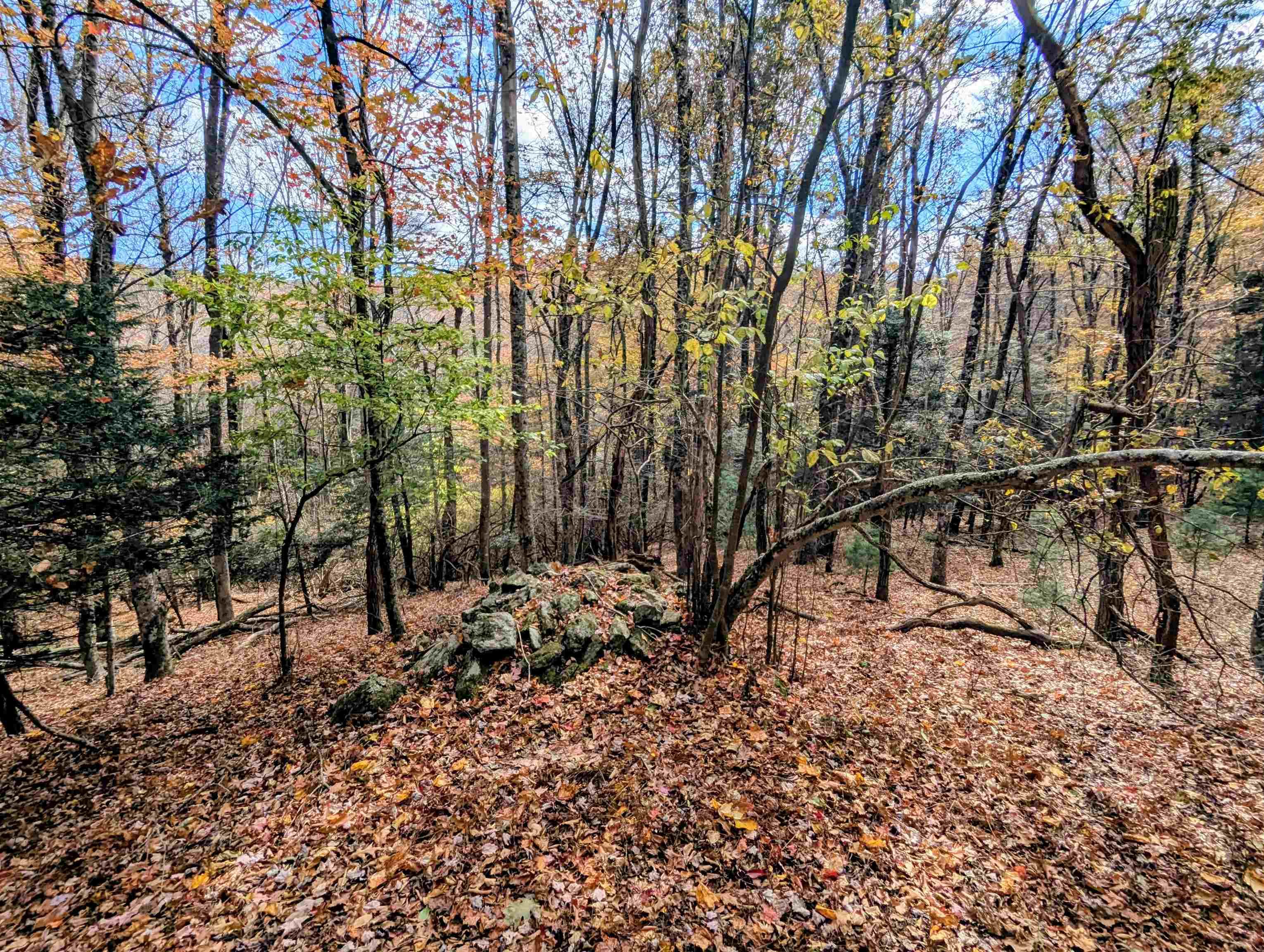 3384 Fairview Church Road Floyd VA 24091