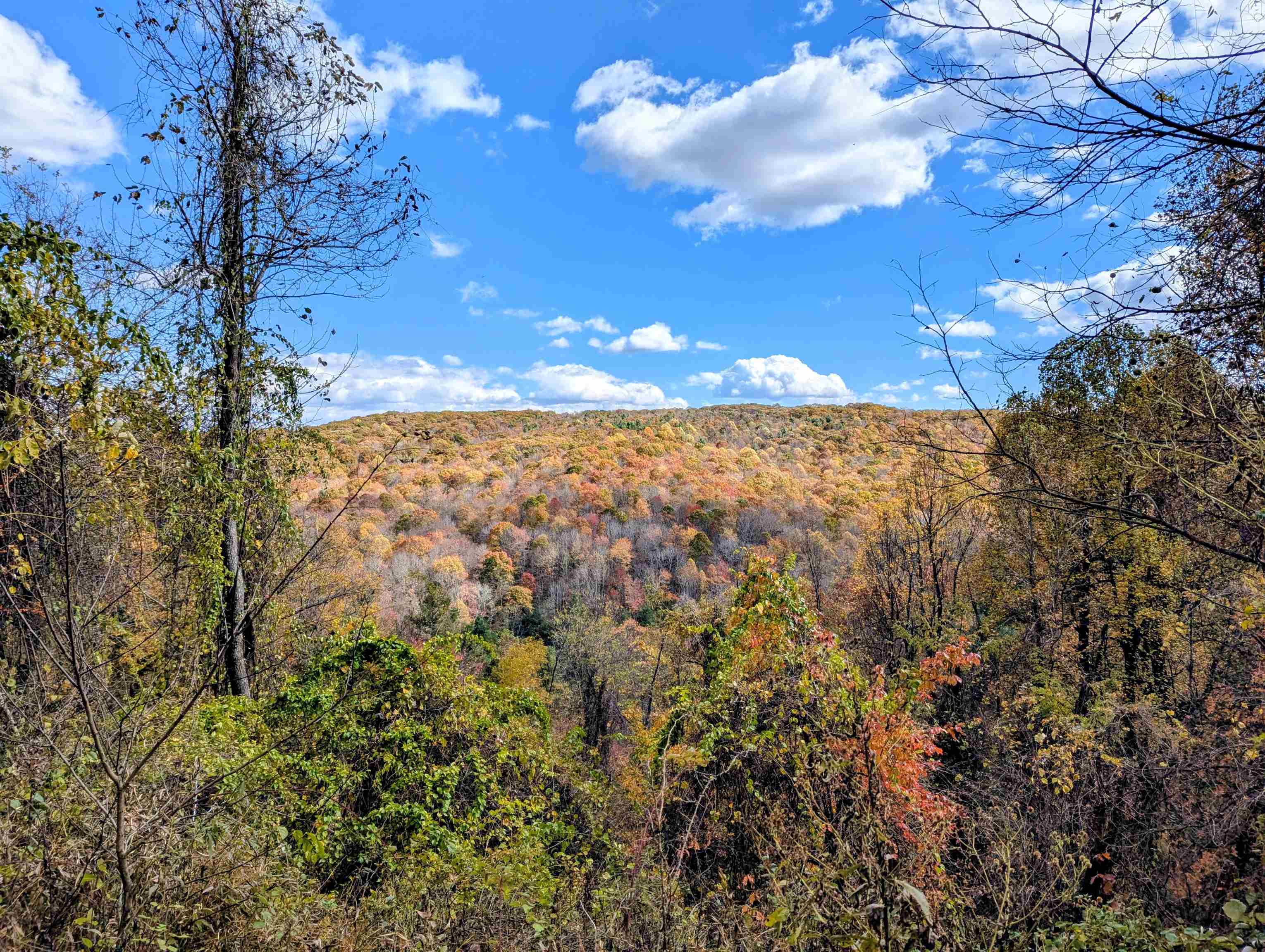 3384 Fairview Church Road Floyd VA 24091