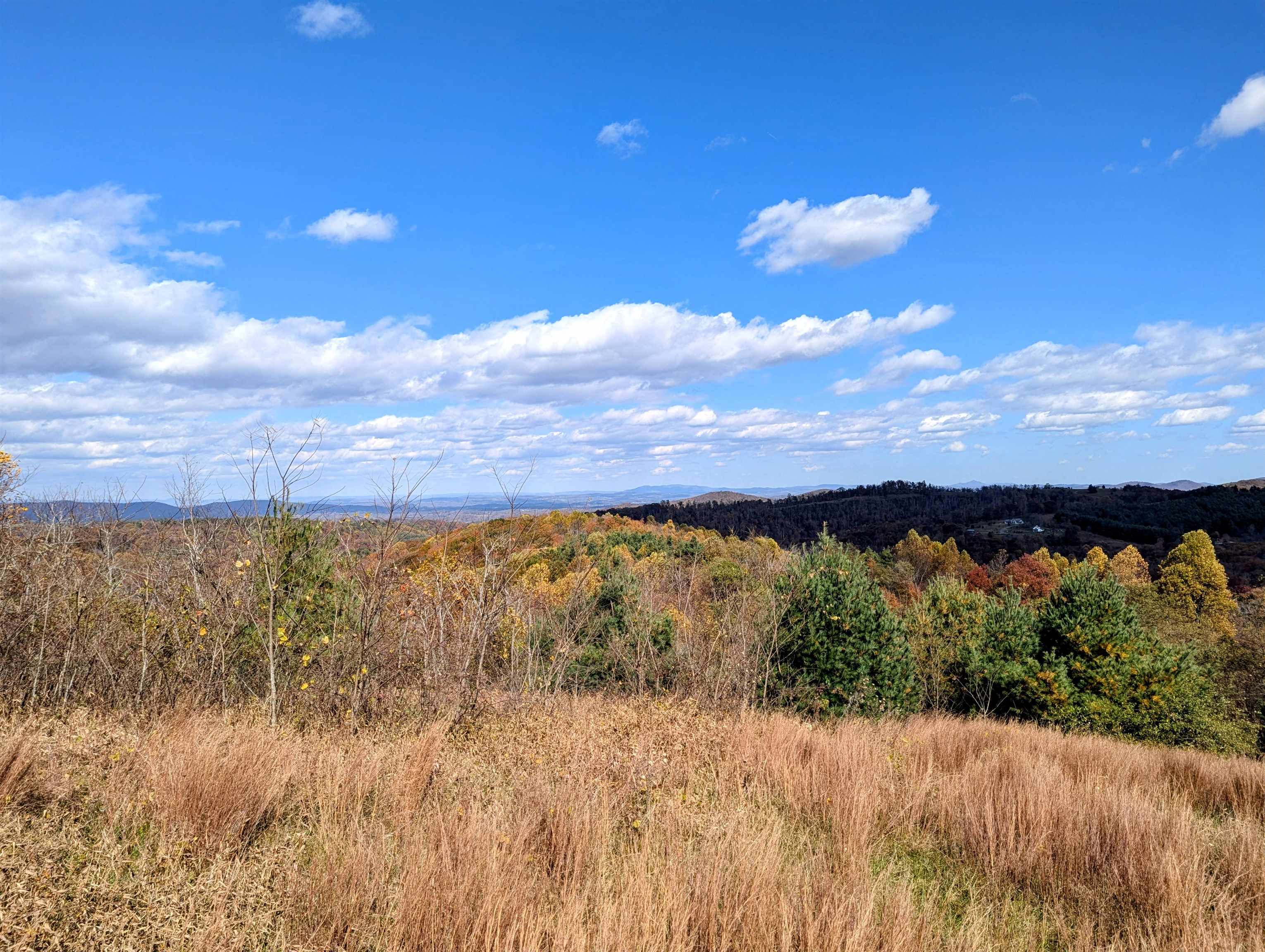 3384 Fairview Church Road Floyd VA 24091