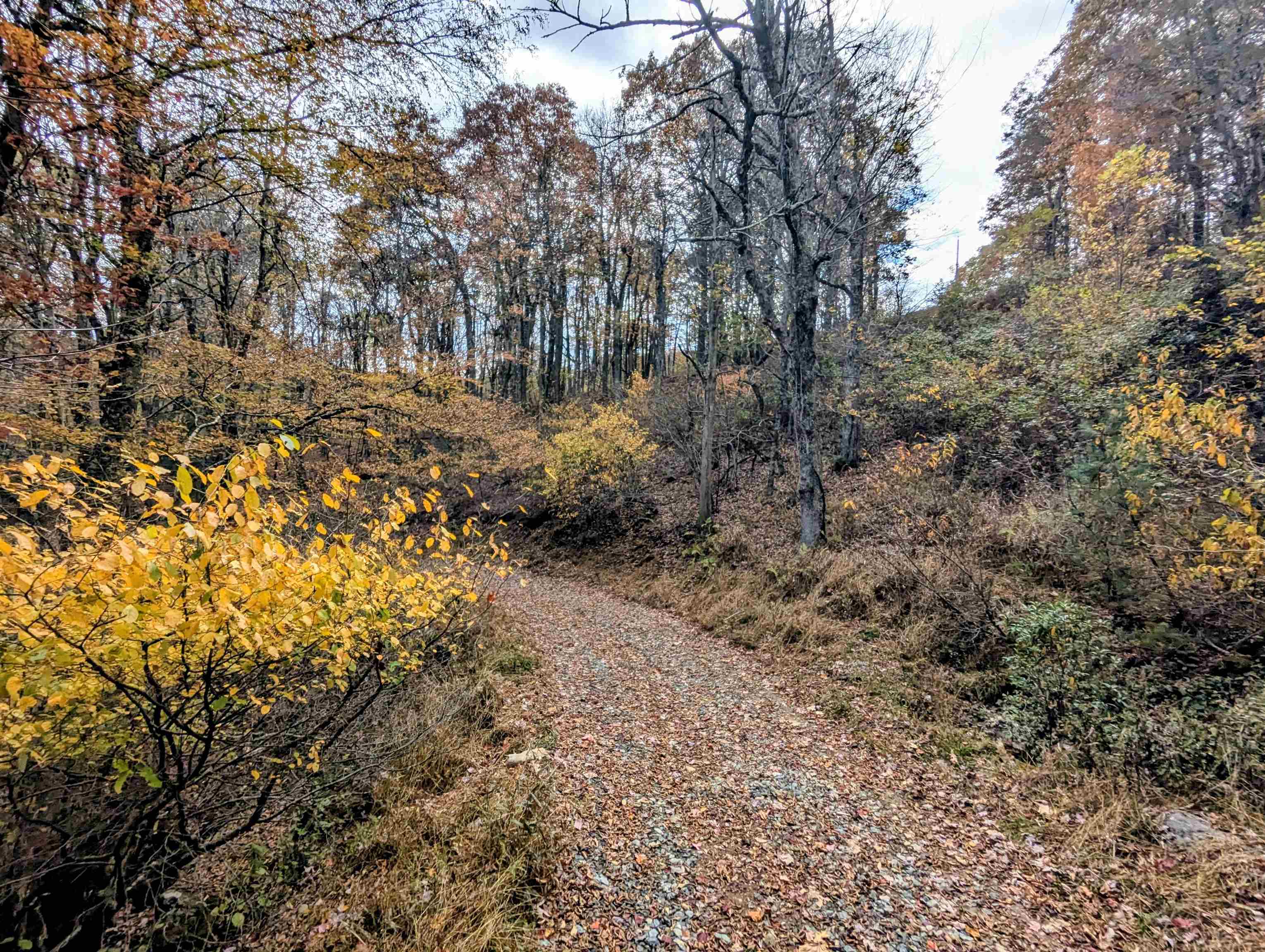 3384 Fairview Church Road Floyd VA 24091