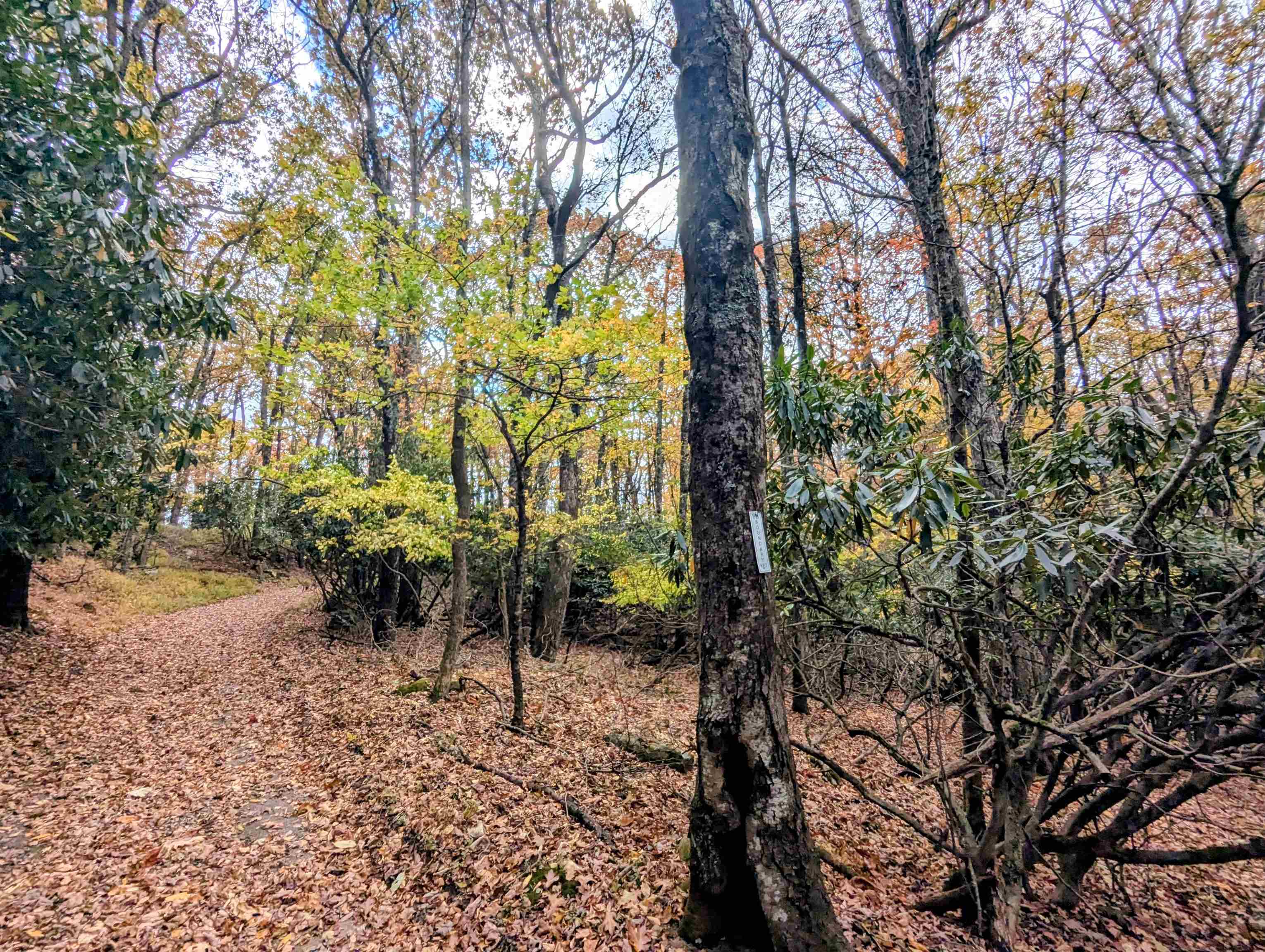 3384 Fairview Church Road Floyd VA 24091