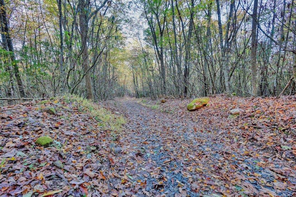 3384 Fairview Church Road Floyd VA 24091