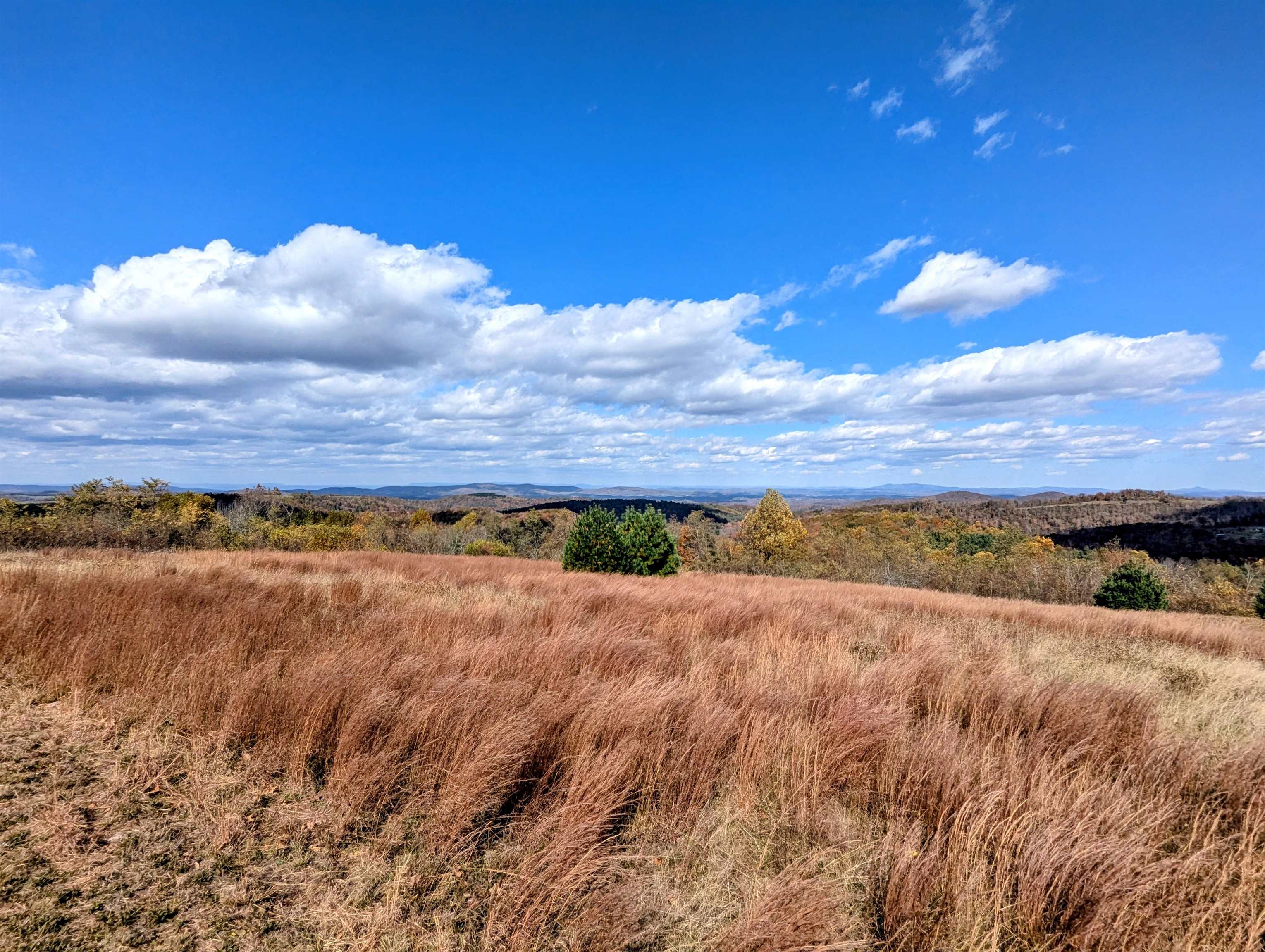 3384 Fairview Church Road Floyd VA 24091